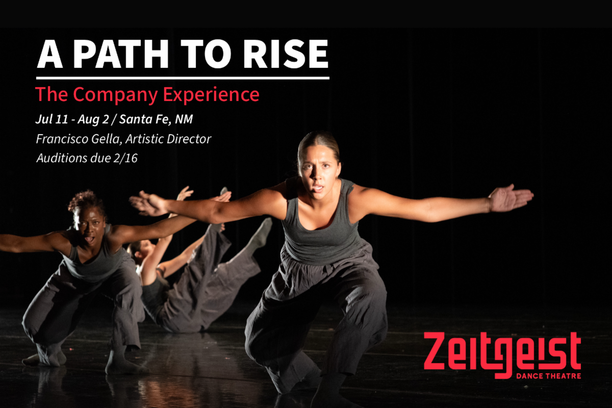 Zeitgeist Dance Theatre Company Experience
