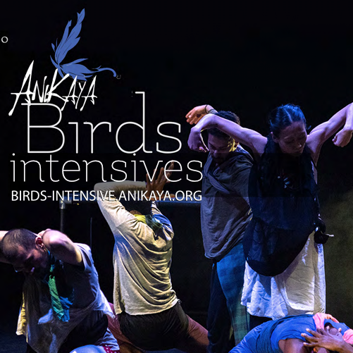 2027 ANIKAYA Bird Winter &amp; Summer Intensives
