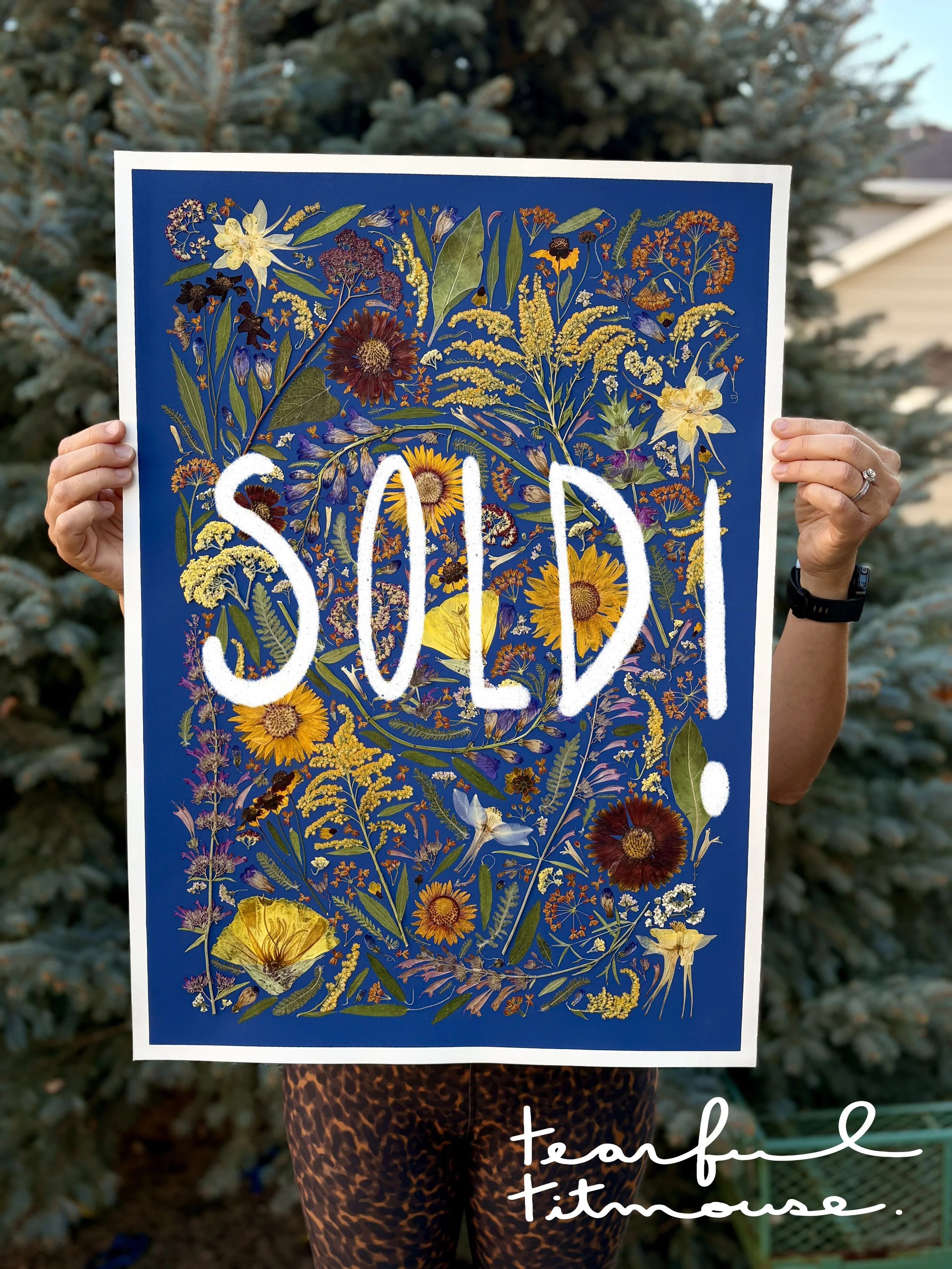 Colorado Native (original art)