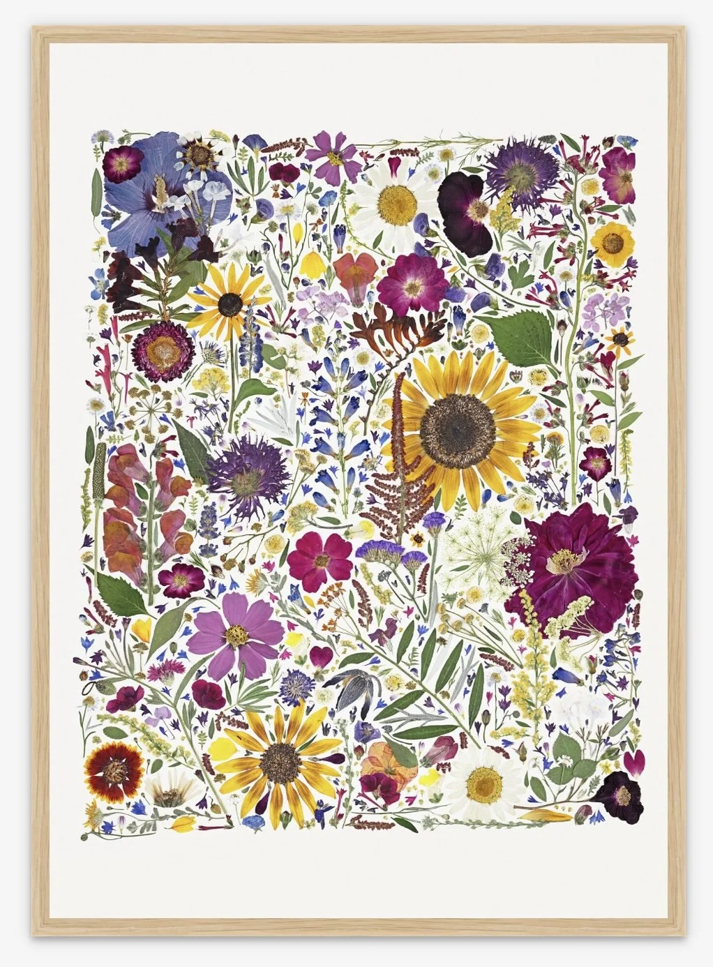 Wild Impressions-Print