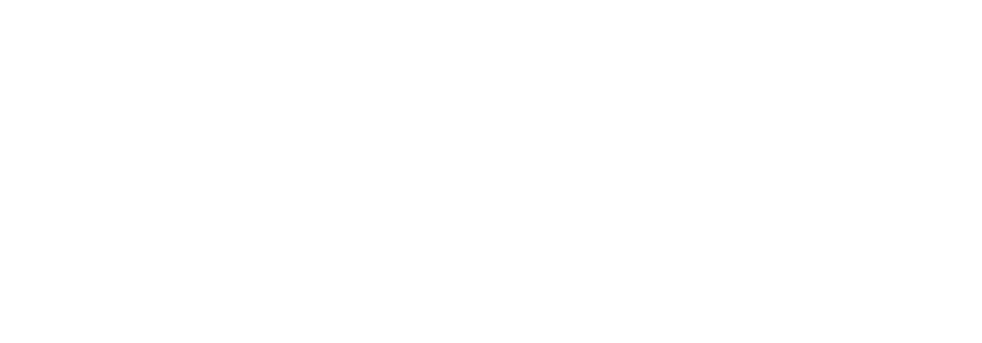 Guariglia Lab