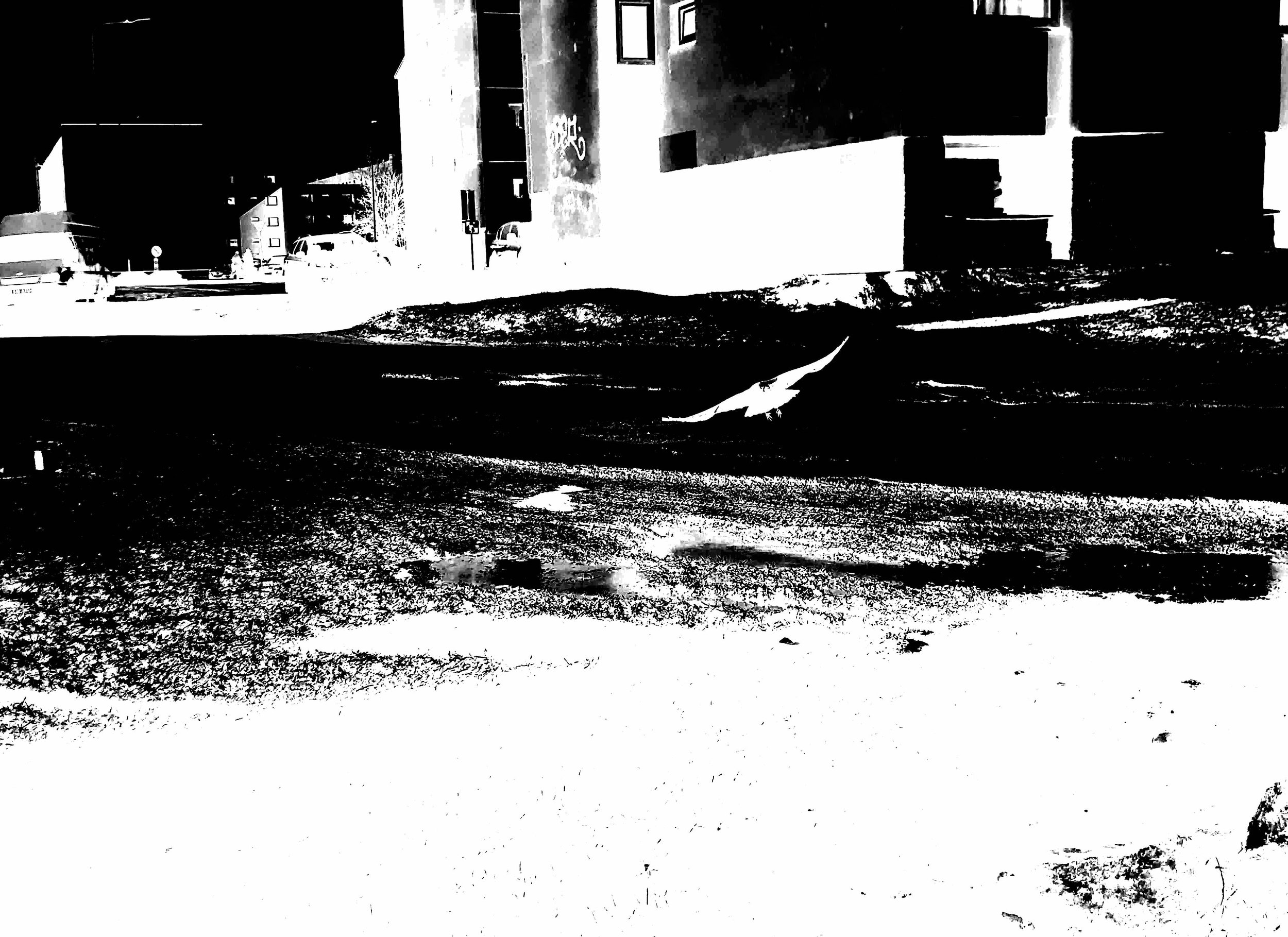 IMG_5304-min copy.jpeg