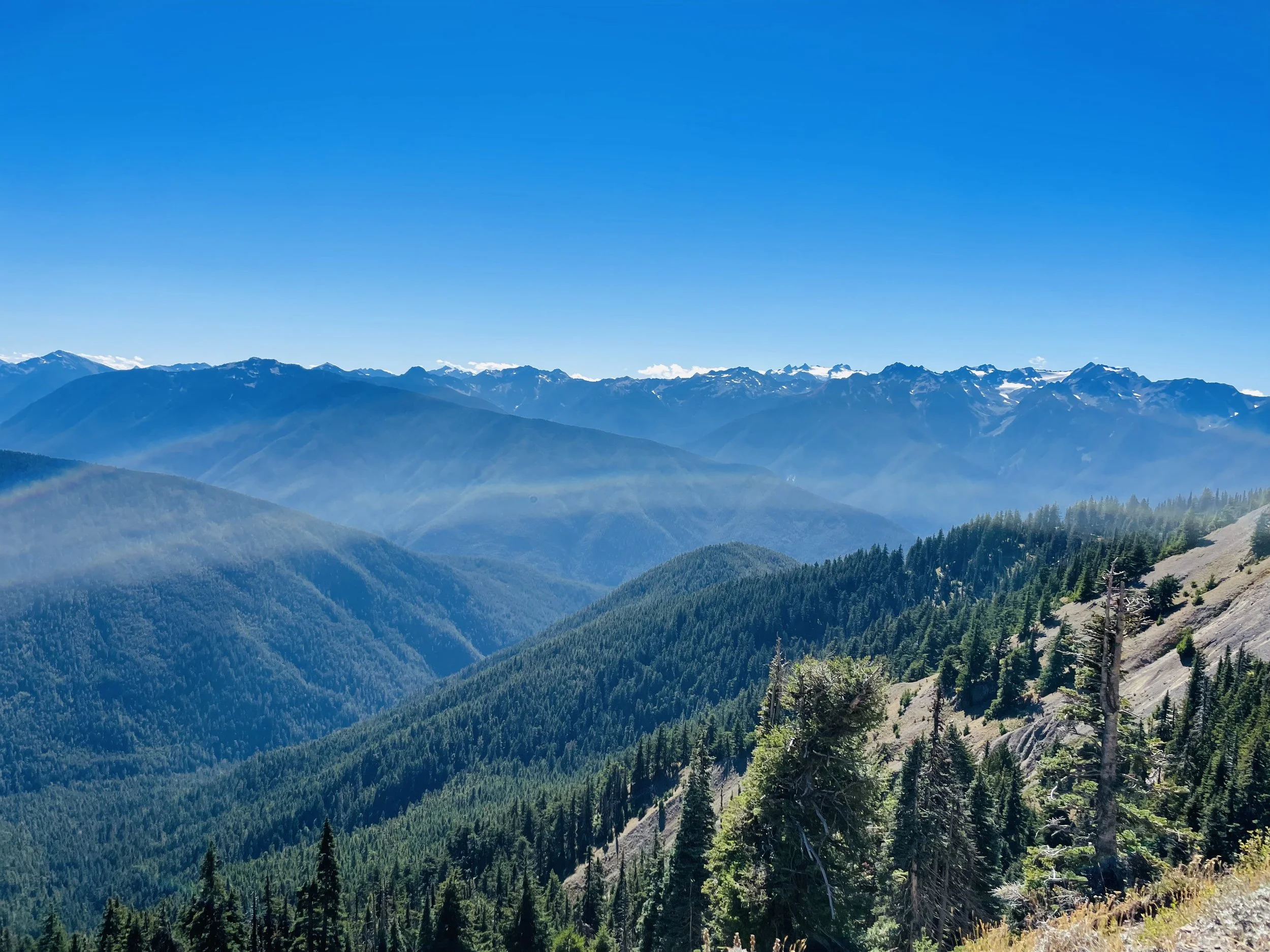 Hurricane Ridge is a must visit destination in Washington State, beautiful mountain view. Sunlight sweeping across the mountains