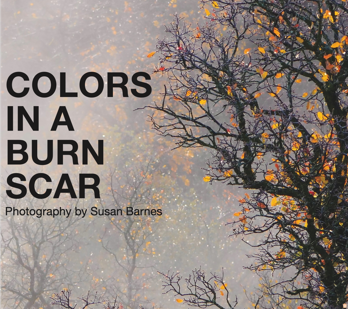 Screenshot 2025-07-28 at 3.59.45 PM.png