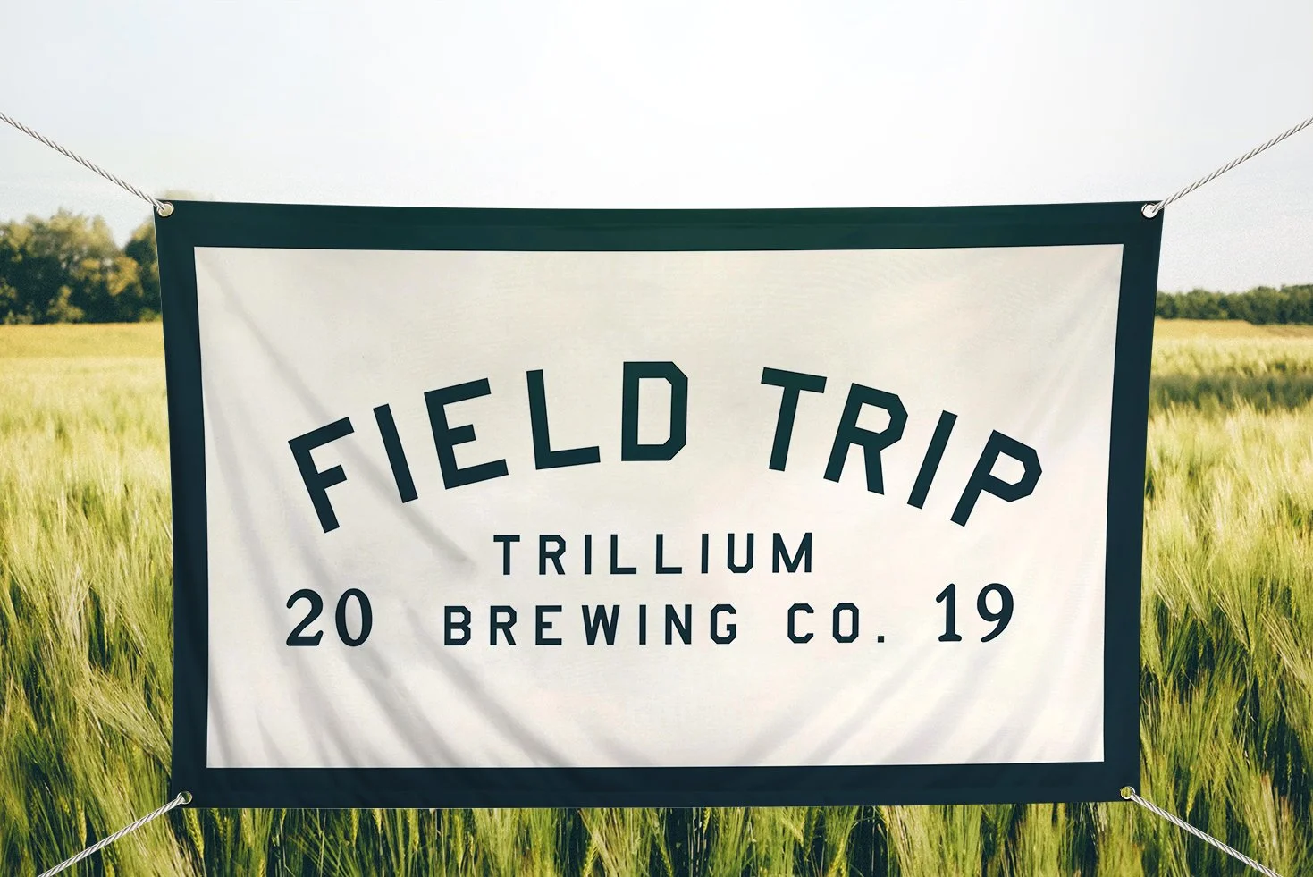Trillium Field Trip Identity