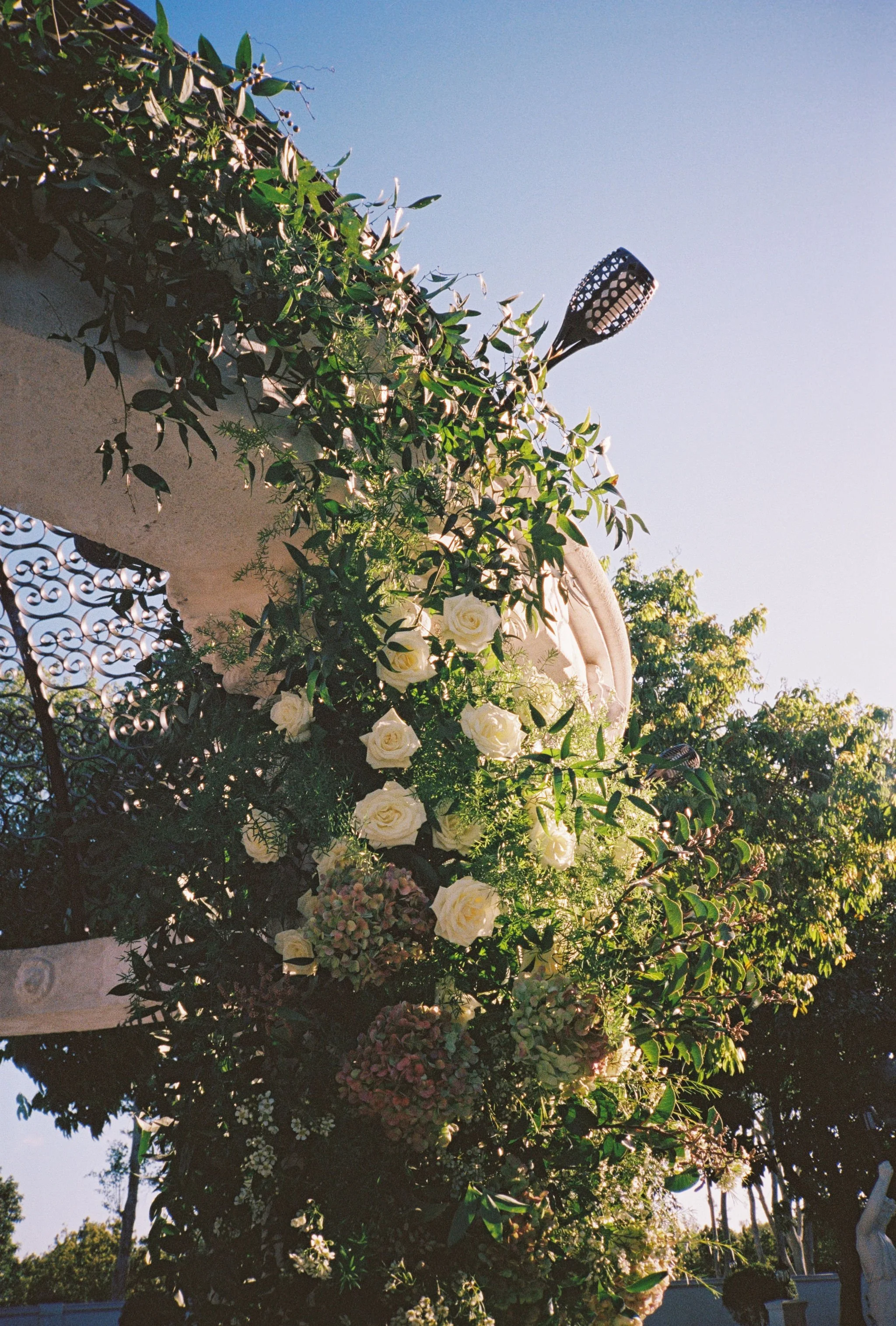 C+E-FILM-47.jpg