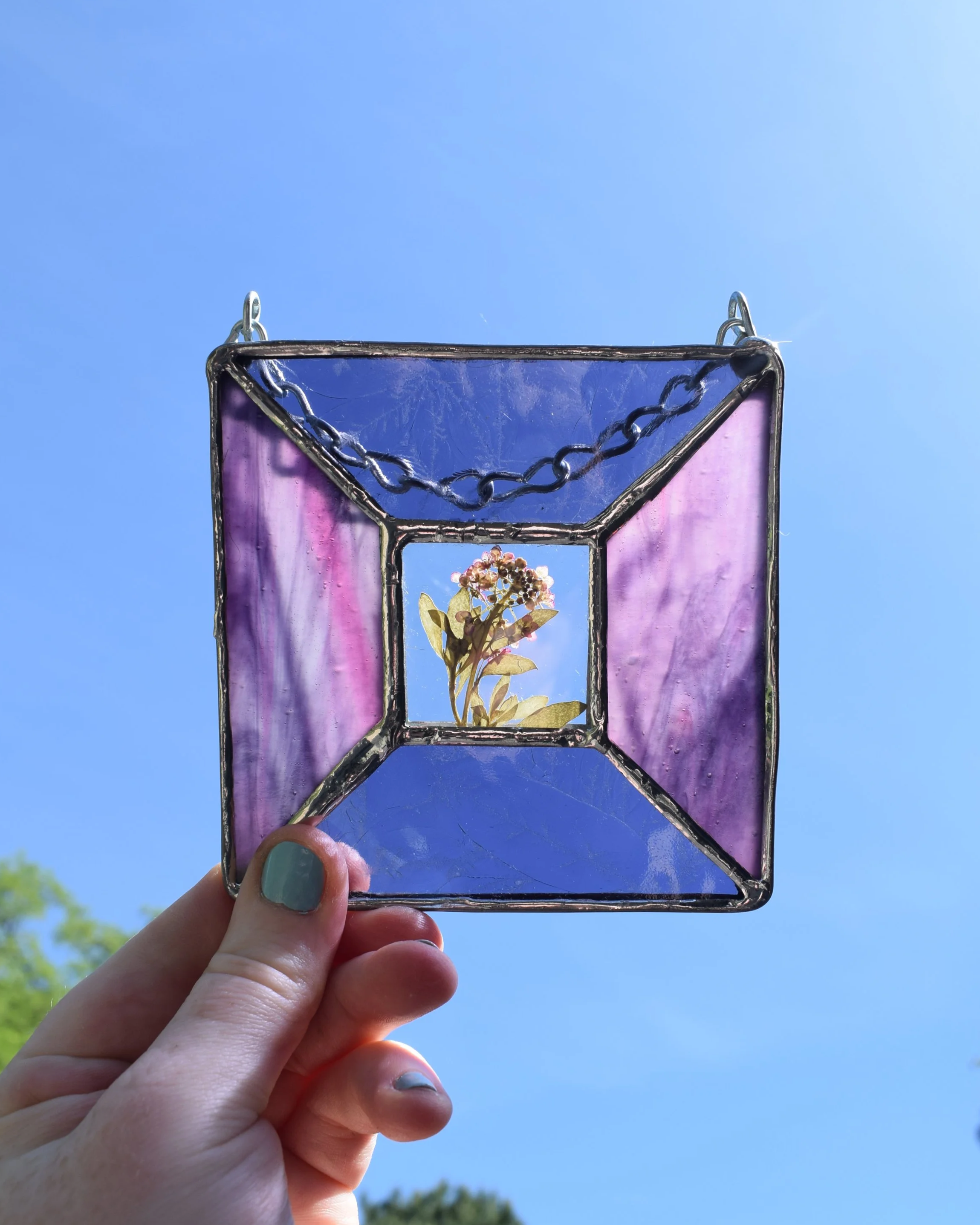 DSC_0099.png