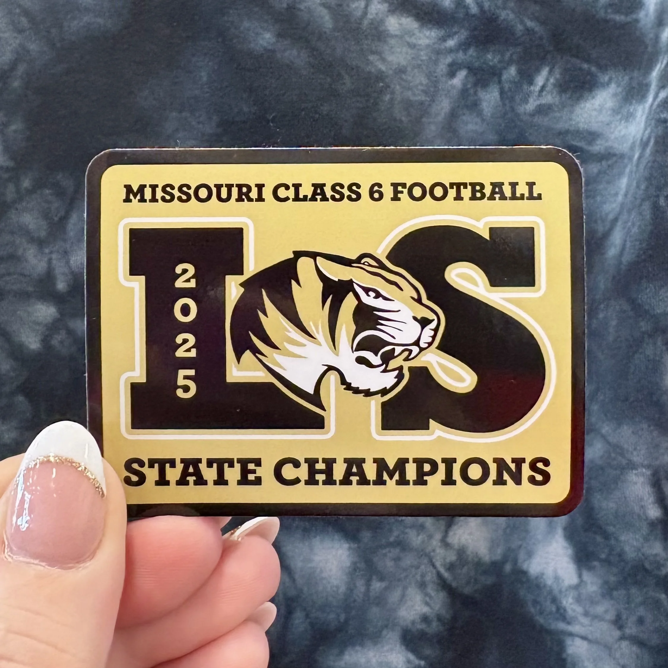 LS-Champs5.jpg