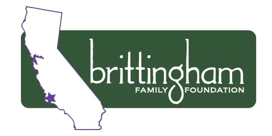 Screenshot 2023-07-16 at 3.13.10 PM.jpg