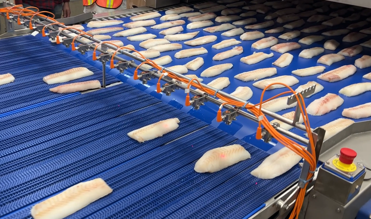 Seafood — CMP Equipment