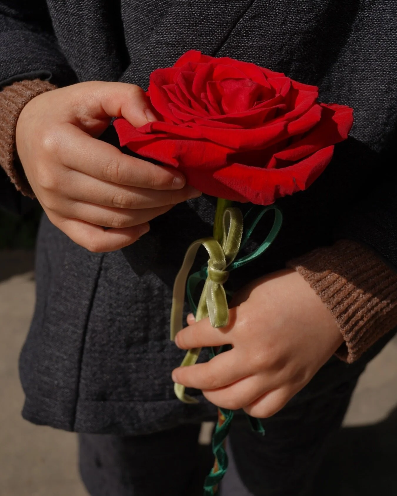 En muy pocos d&iacute;as&hellip; 🌹🐉