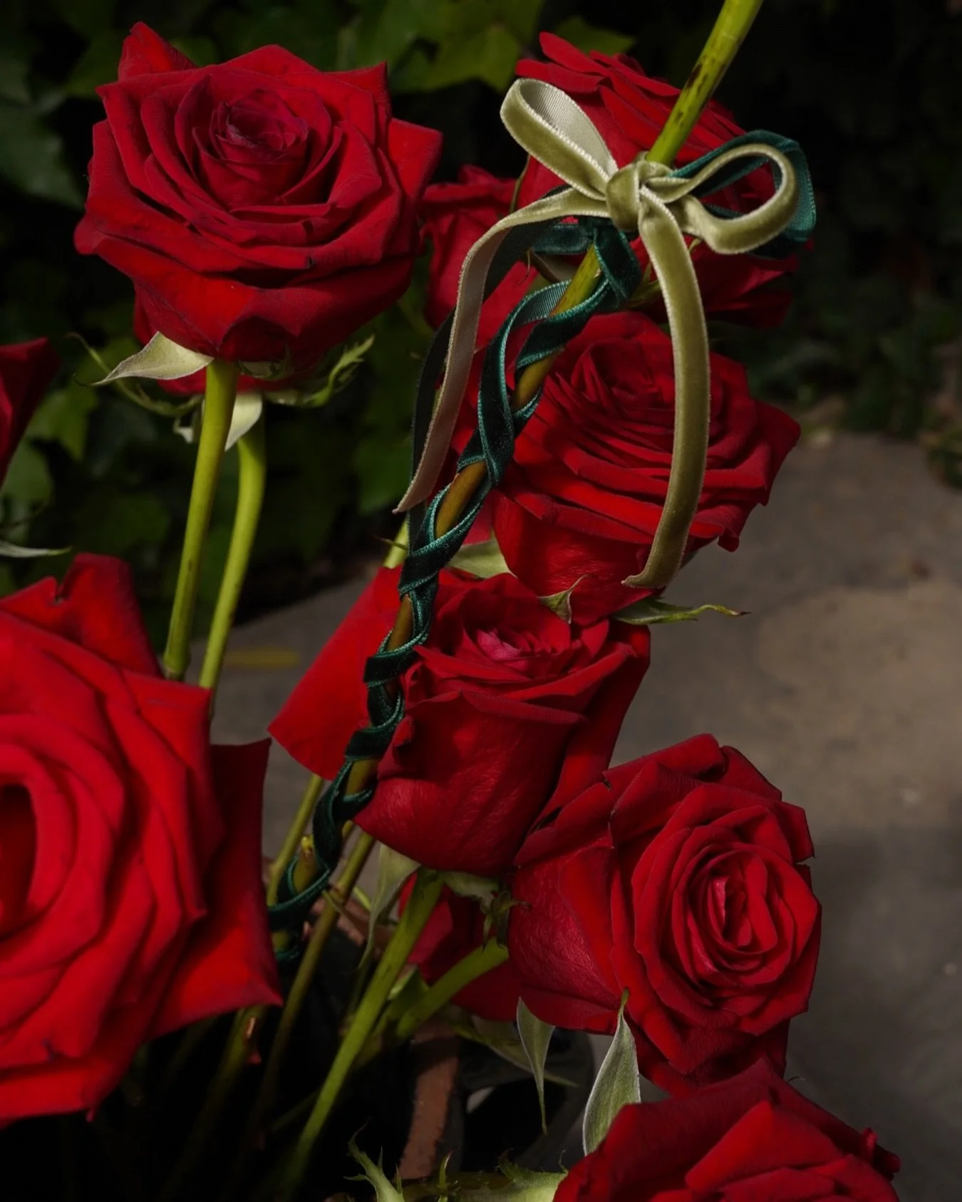Rosas enlazadas para Sant Jordi