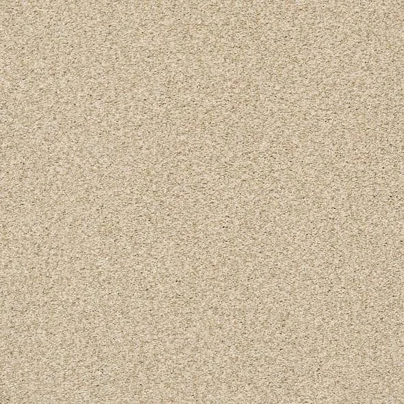 Sun Kissed Carpet Shaw Floors Tags: flooring vancouver, flooring store, carpet vancouver, carpet installation, carpet store, carpet tile, wool carpet, smartstrand, godfrey hirst, mohawk, cut pile, loop carpet