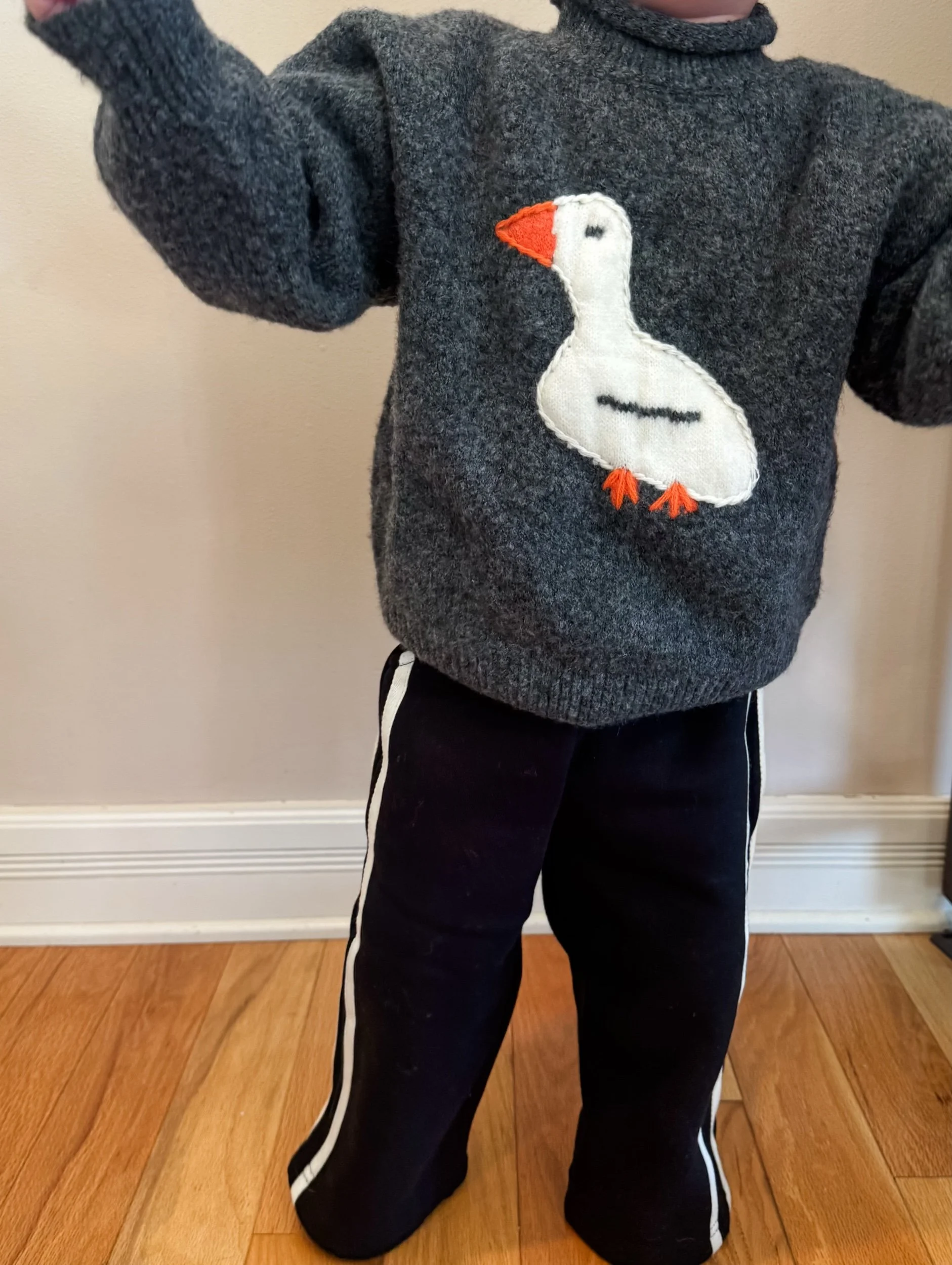 Silly Goose Sweater