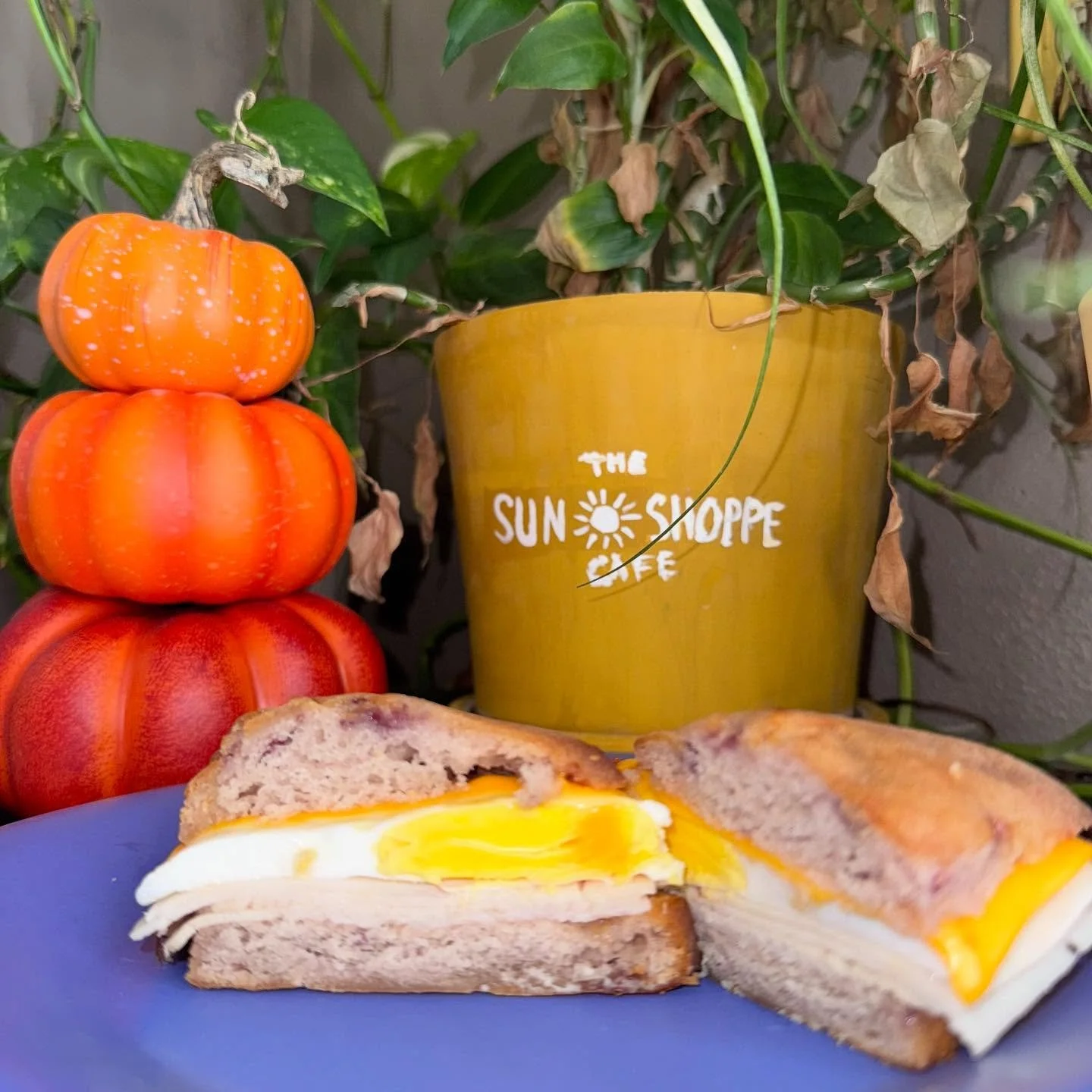 Have you tried a Turkey, Egg, and Cheese on a Scone?? ☕️☀️
#cafe #coffee #sunshoppe #thesunshoppeandcafe #melbournefl #downtownmelbournefl #scone #turkeyeggandcheese