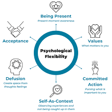 Diagram illustrating psychological flexibility with sections on acceptance, values, committed action, self-as-context, defusion, and acceptance.