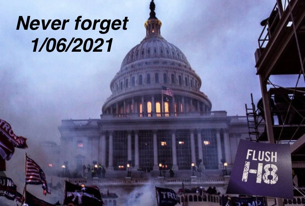 U.S. Capitol building with flags, smoke, and crowd, text "Never forget 1/06/2021" and "FLUSH H8" sign.