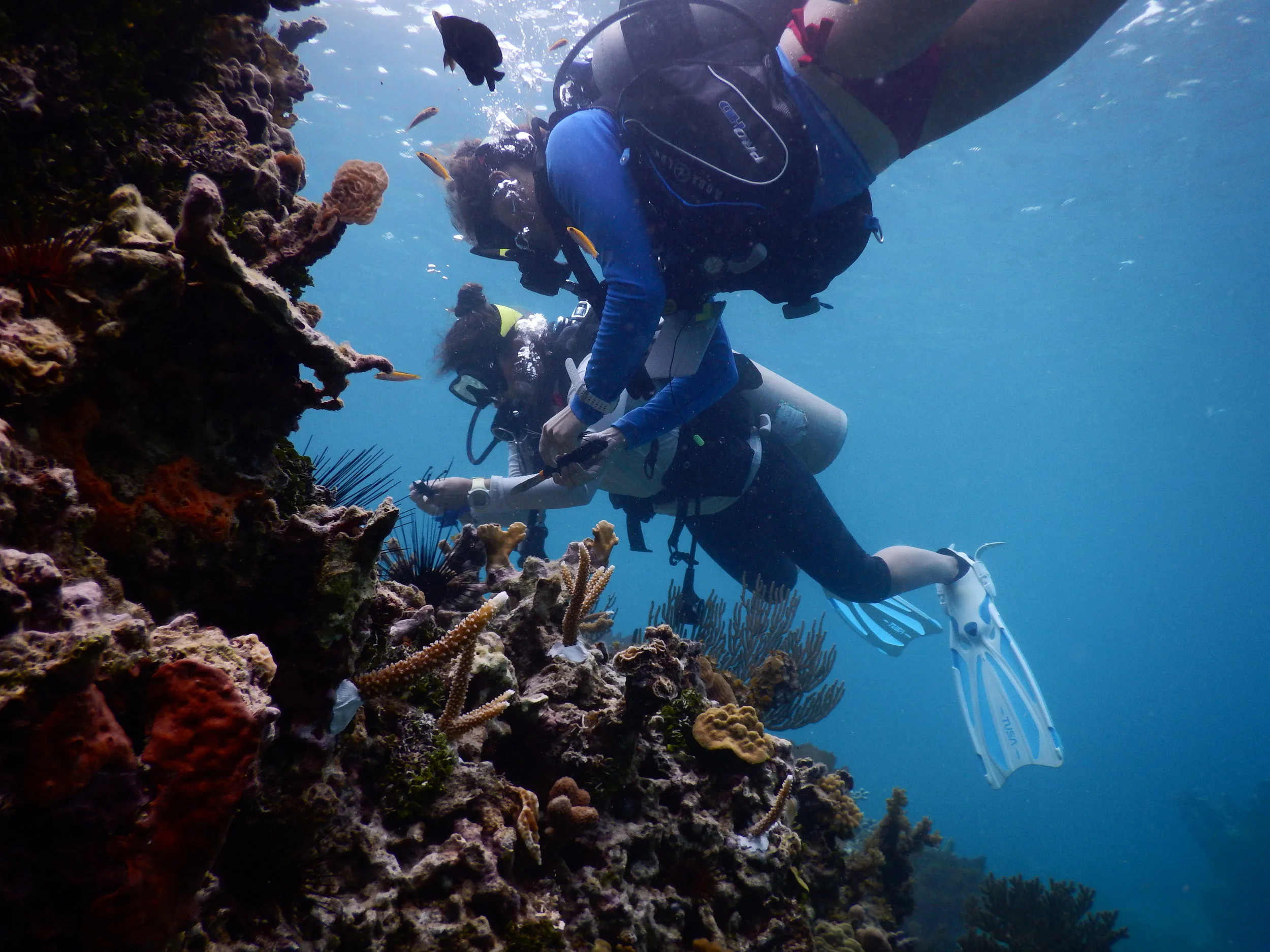 DSCN4398.JPG