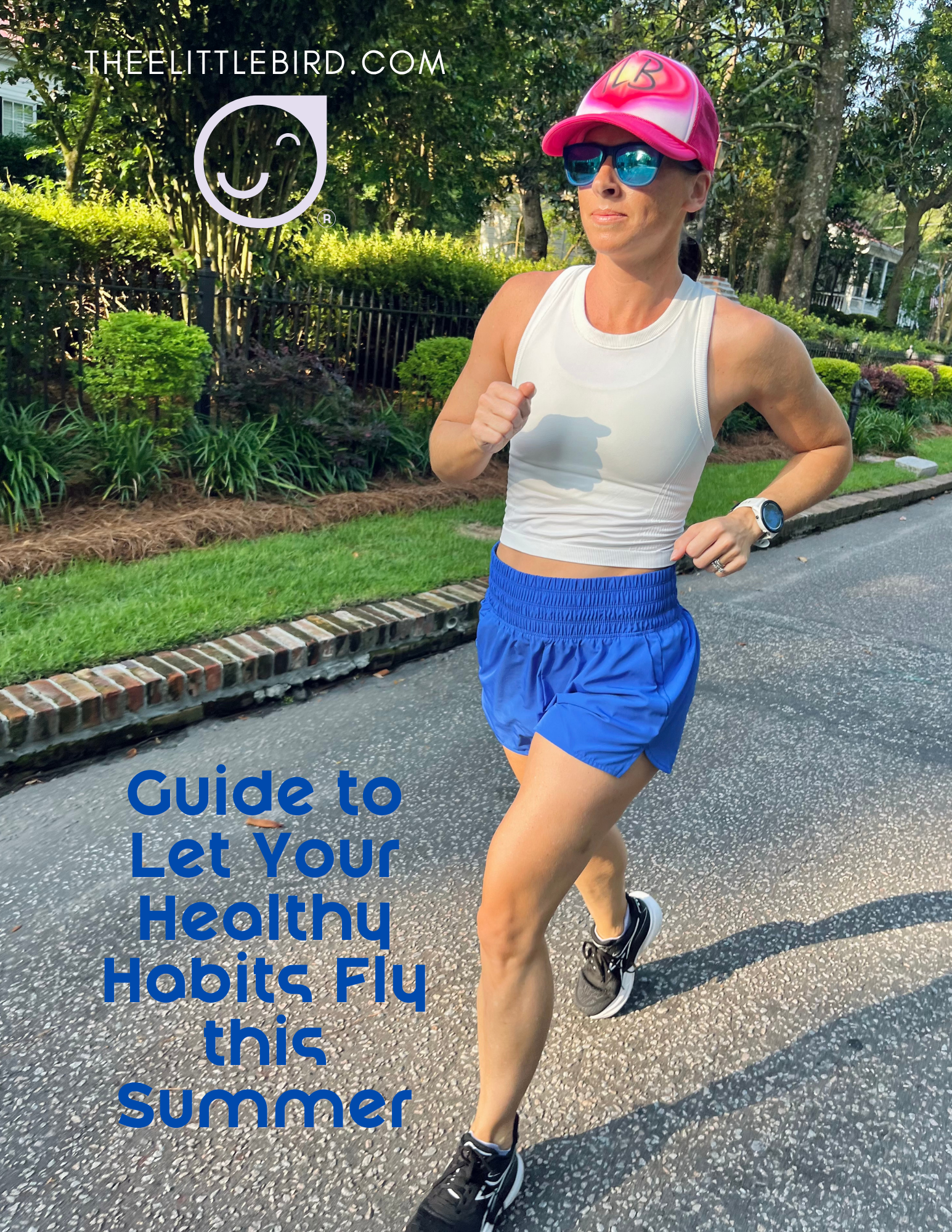 Summer Habits Guide.png