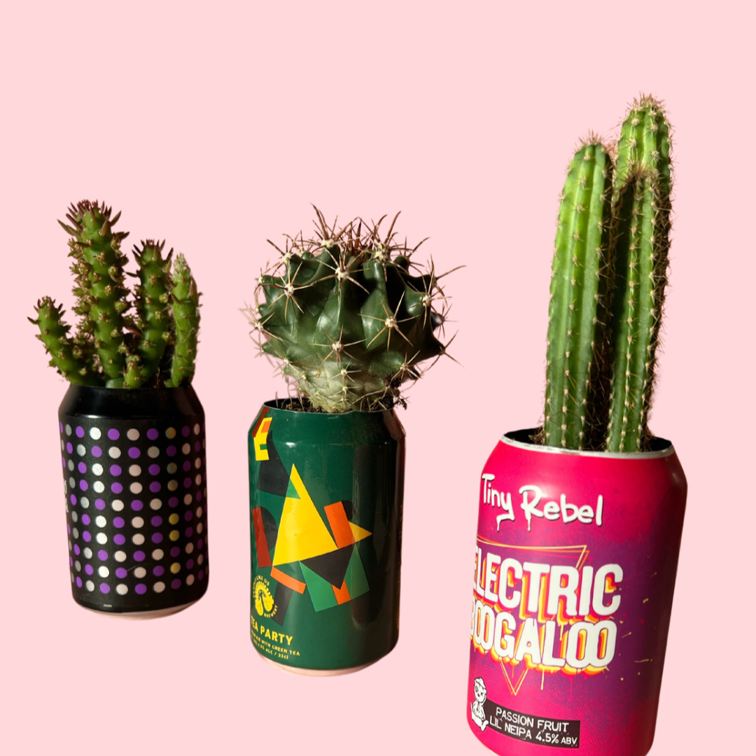 AA1C85B7-51E5-42FB-A243-89236DA01646