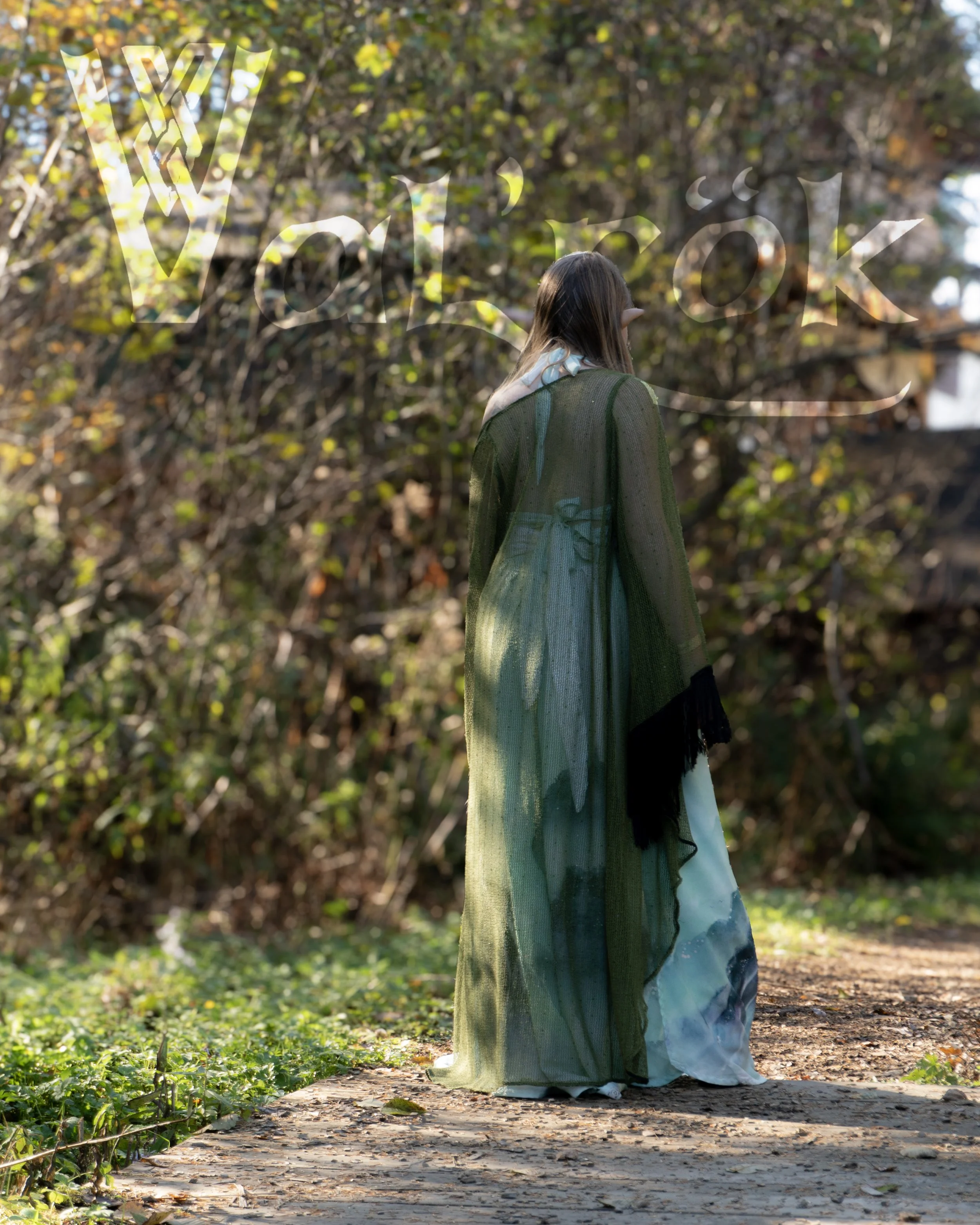 helley vert silva wrap kit green.jpg (copie)