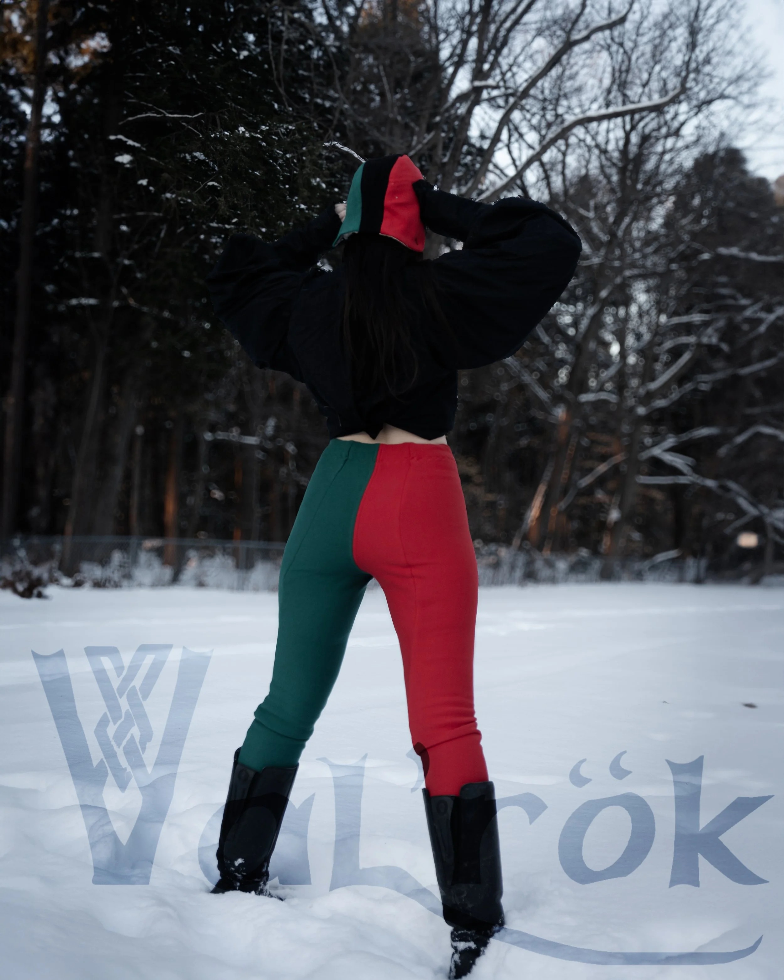 adventurier hiver camille rouge et vert dos.jpg