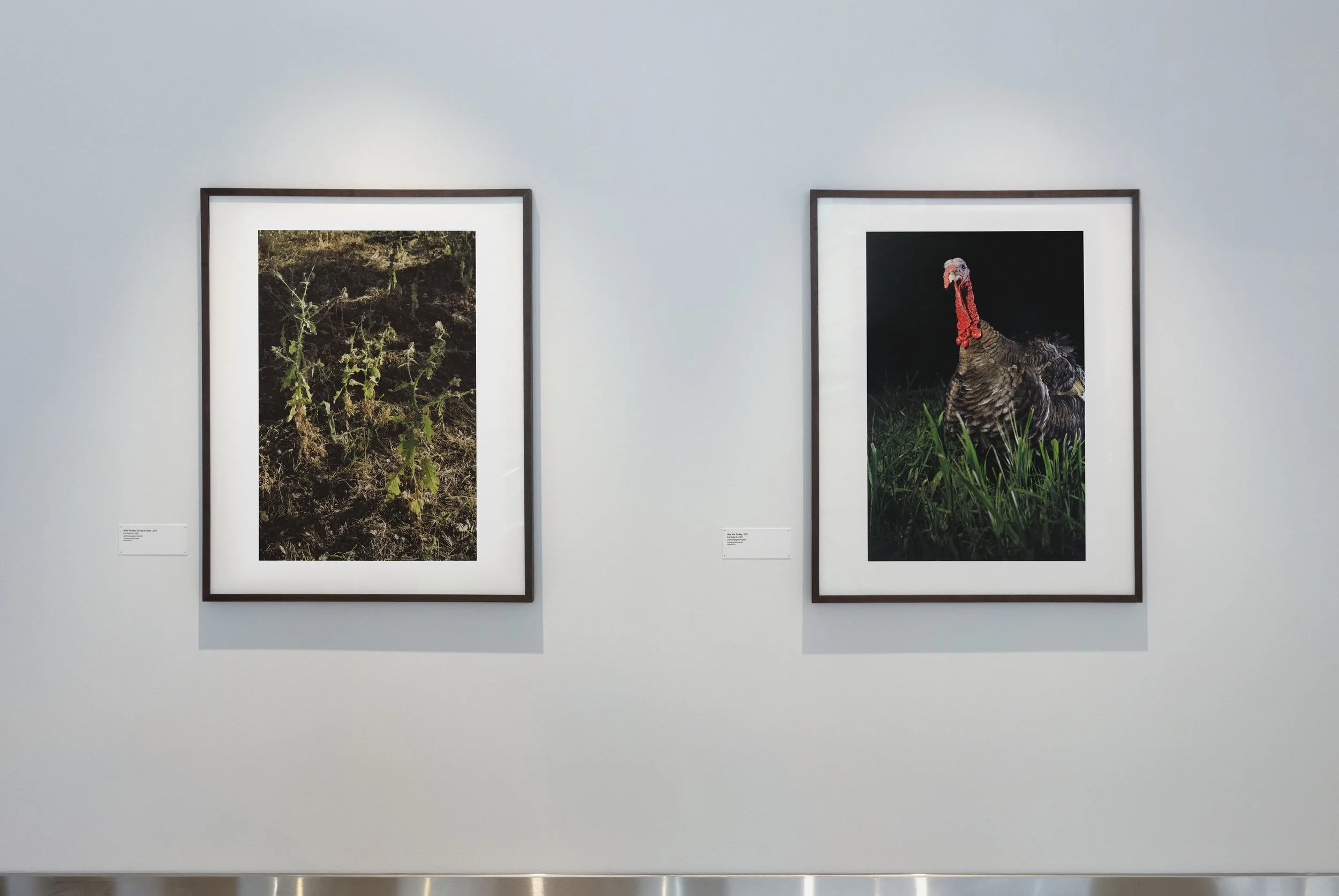  Eric Ruby: Kamper Sweet Kamper , SFO Museum, San Francisco, May 23–December 6, 2026. Courtesy of SFO Museum.