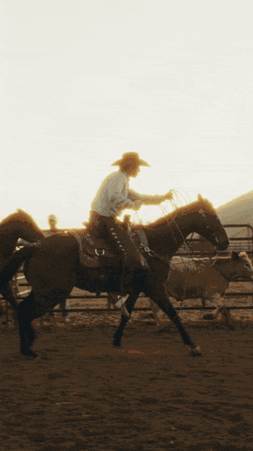 roping (1).gif