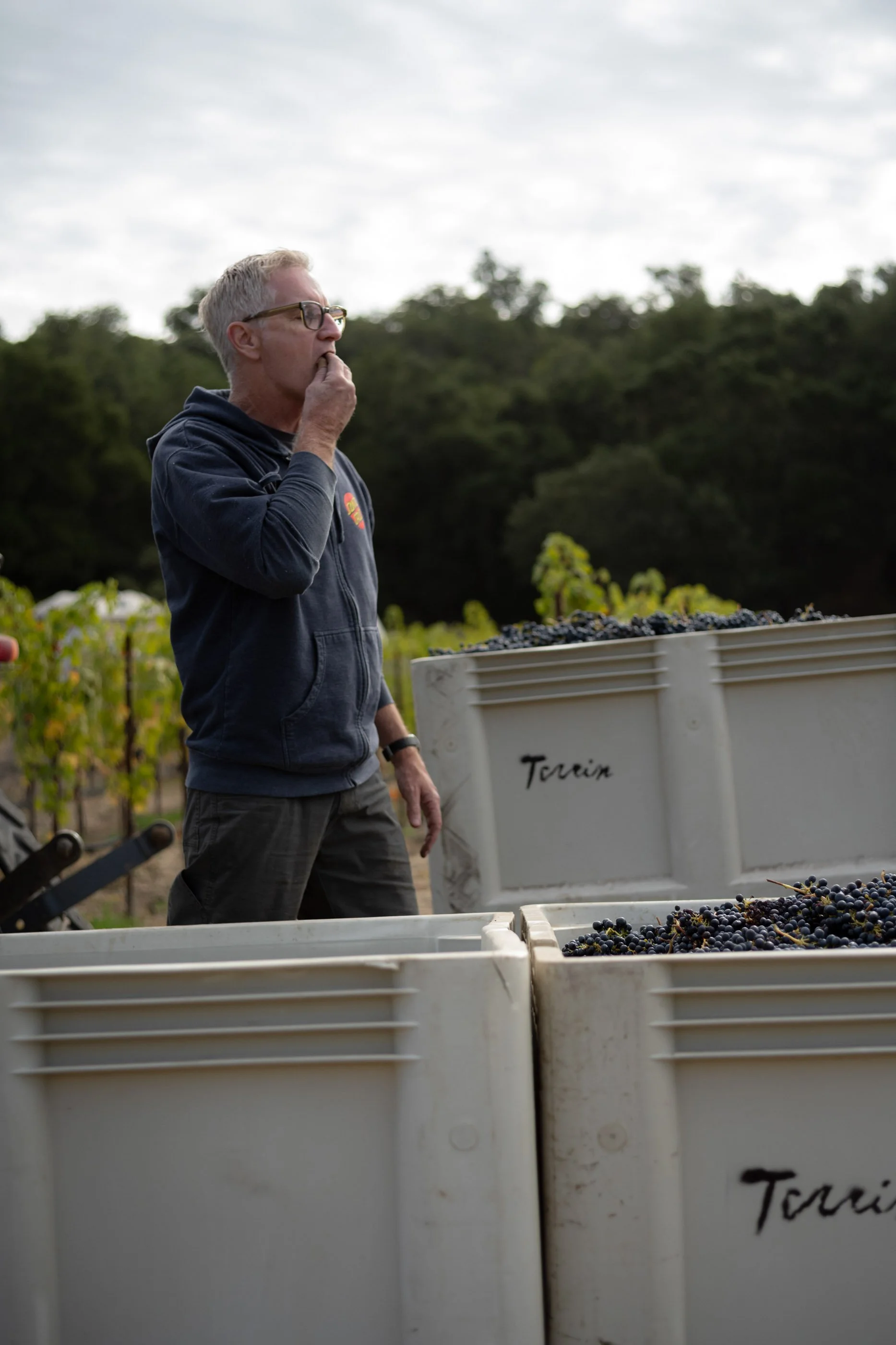 Torrin-Estate-Harvest-2025-174.jpg
