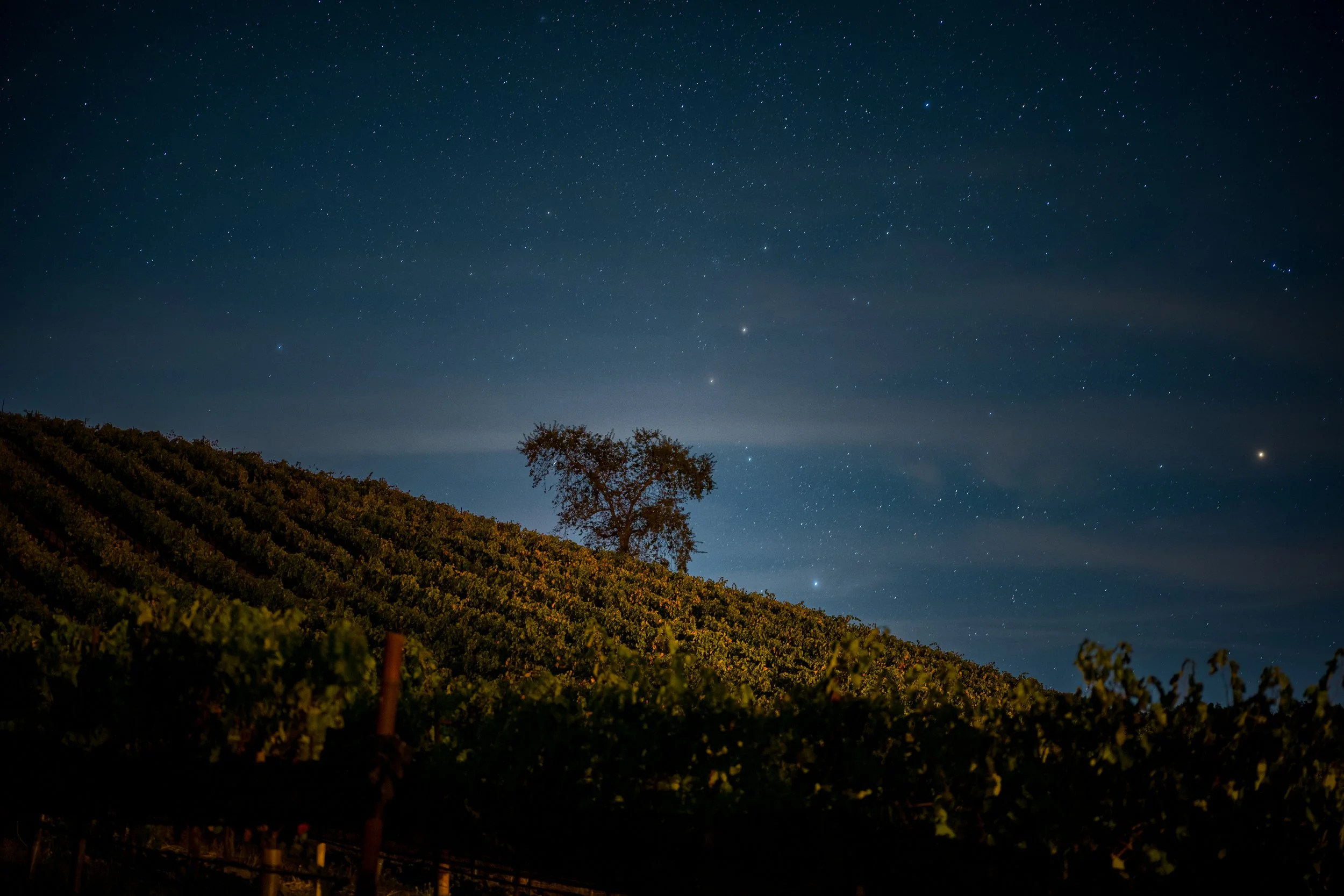 LXV-Estate-Night-Pick-51.jpg