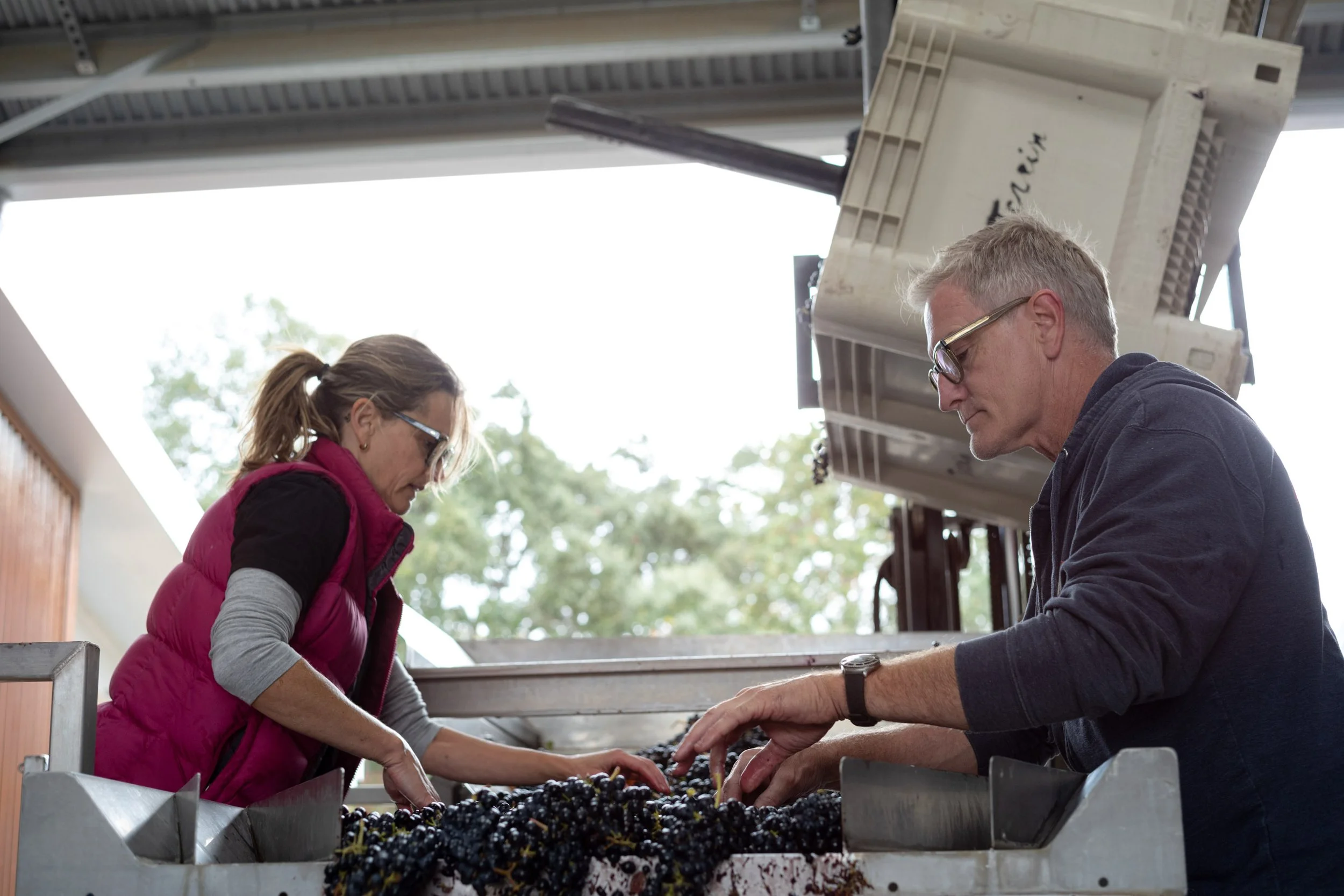 Torrin-Estate-Harvest-2025-207.jpg