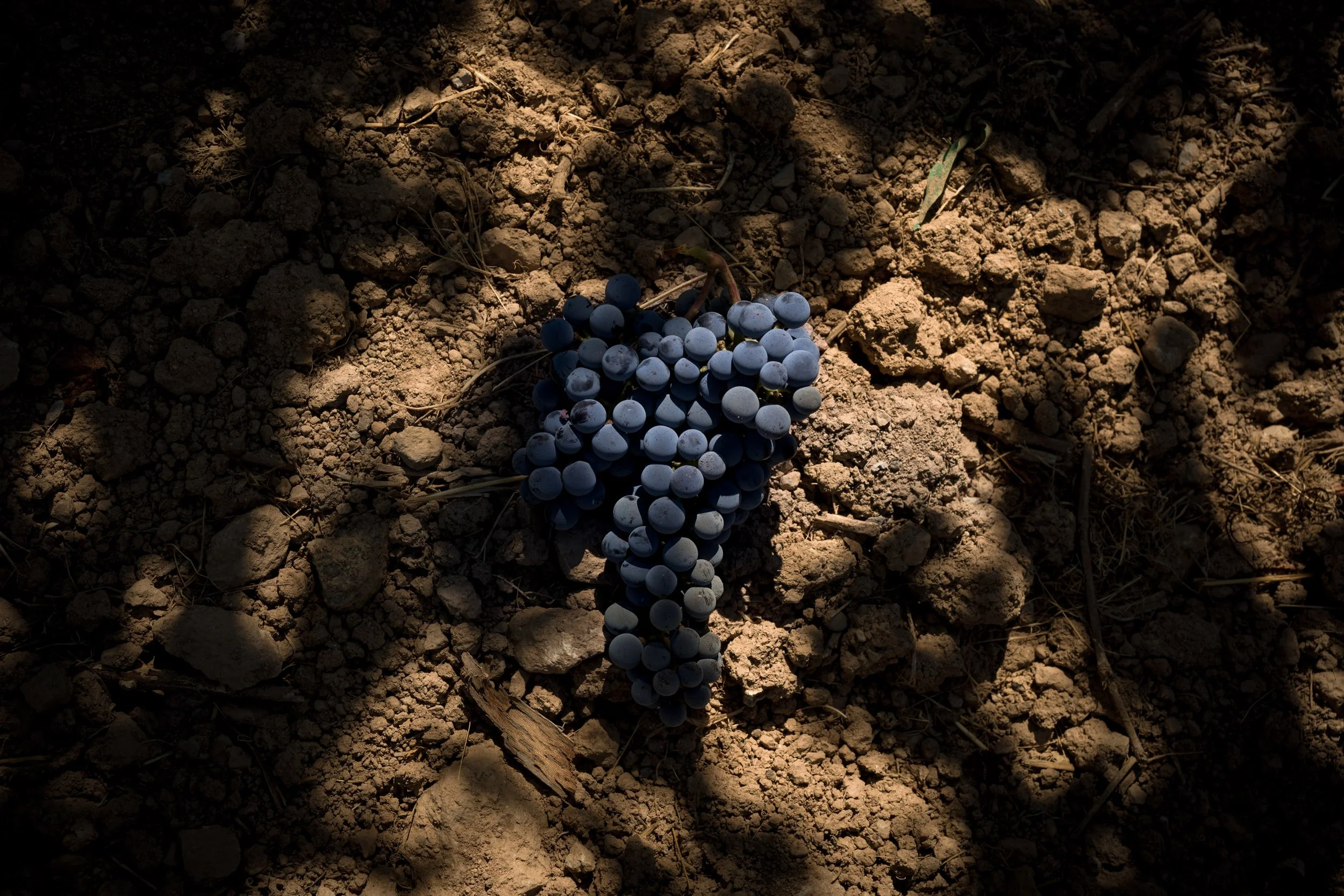 Winery-Details-16.jpg