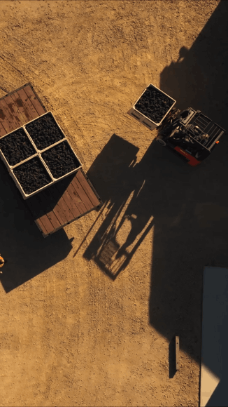 torrin-fruit-580x326clusters.gif