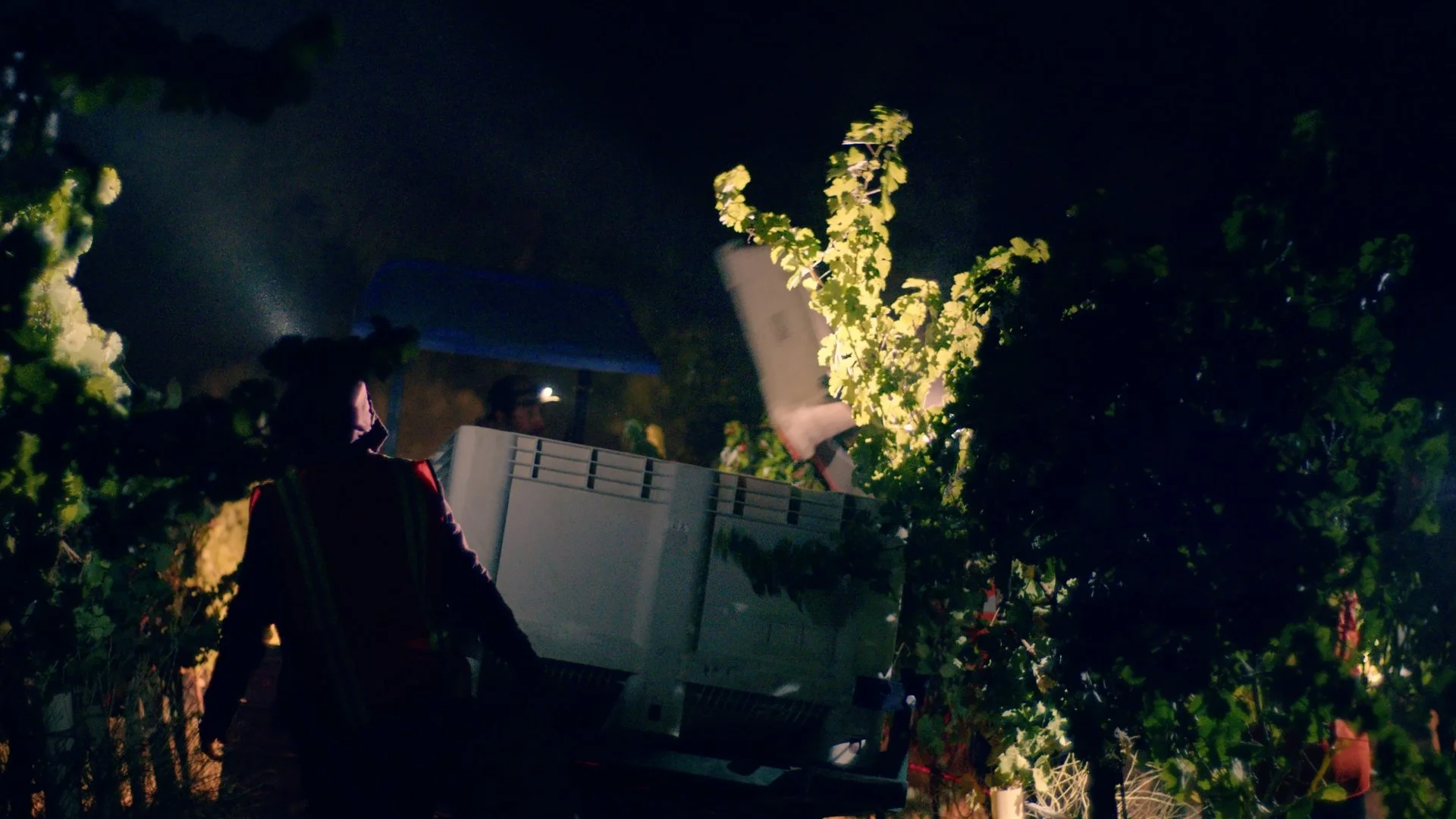 LXV-Stills_1.27.1.jpg