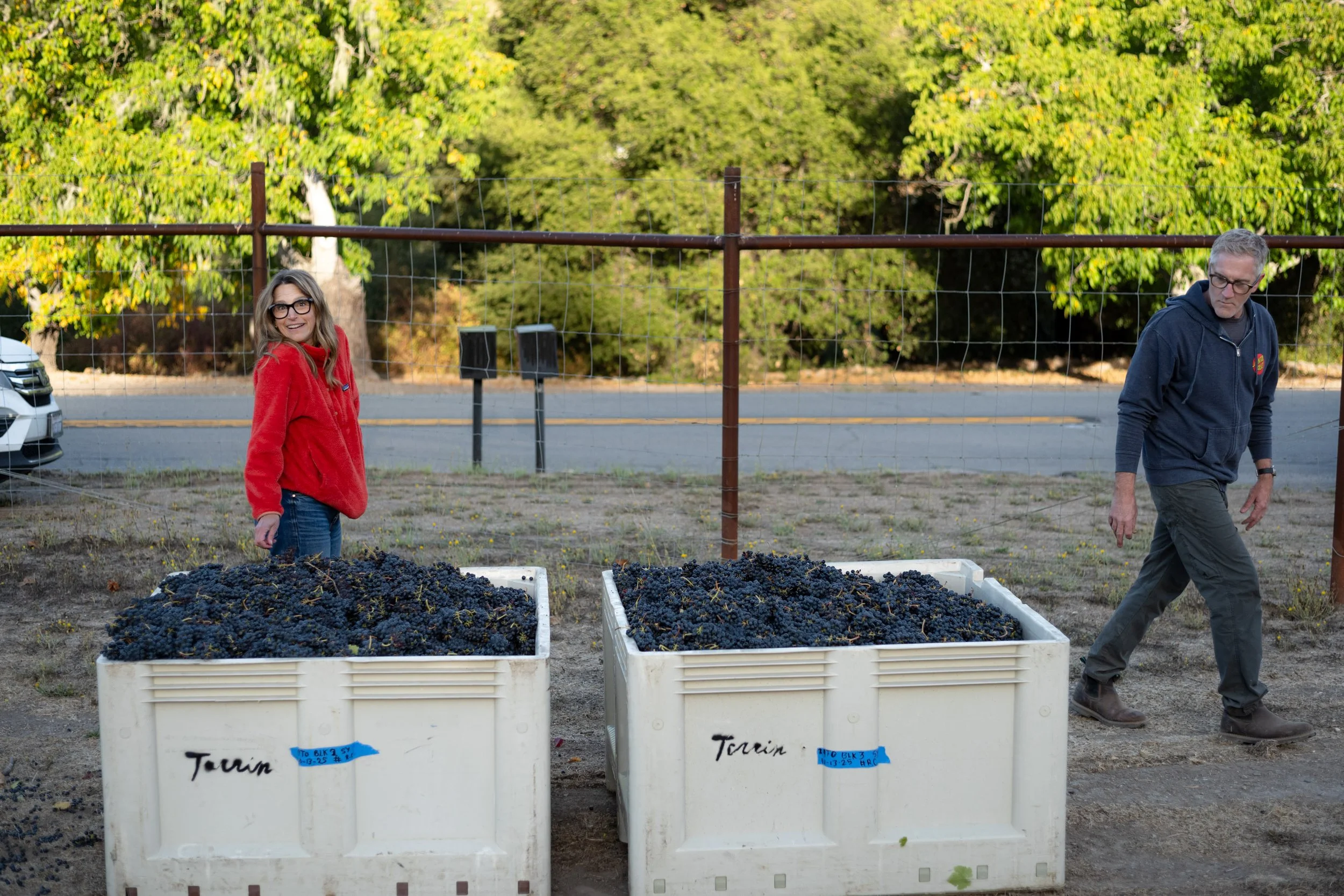 Torrin-Estate-Harvest-2025-134.jpg