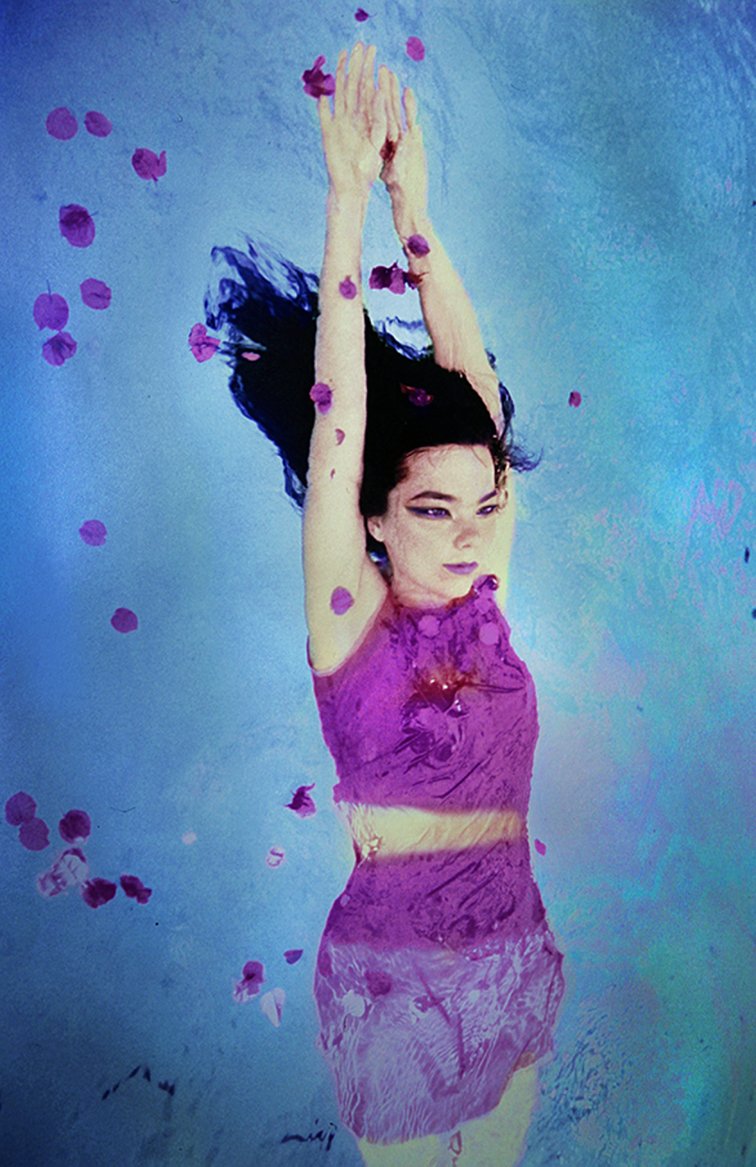 Bjork