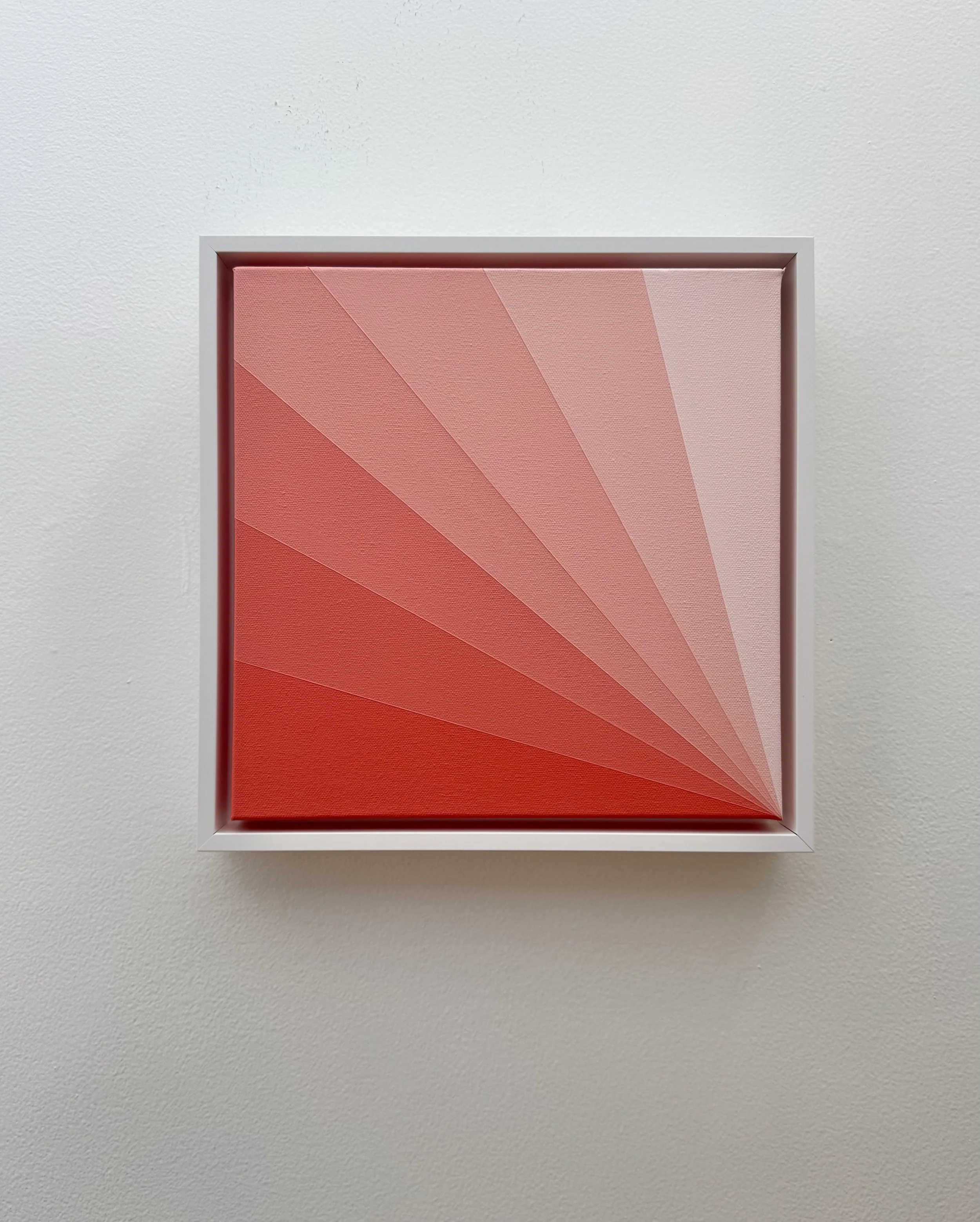 Pink rays #1