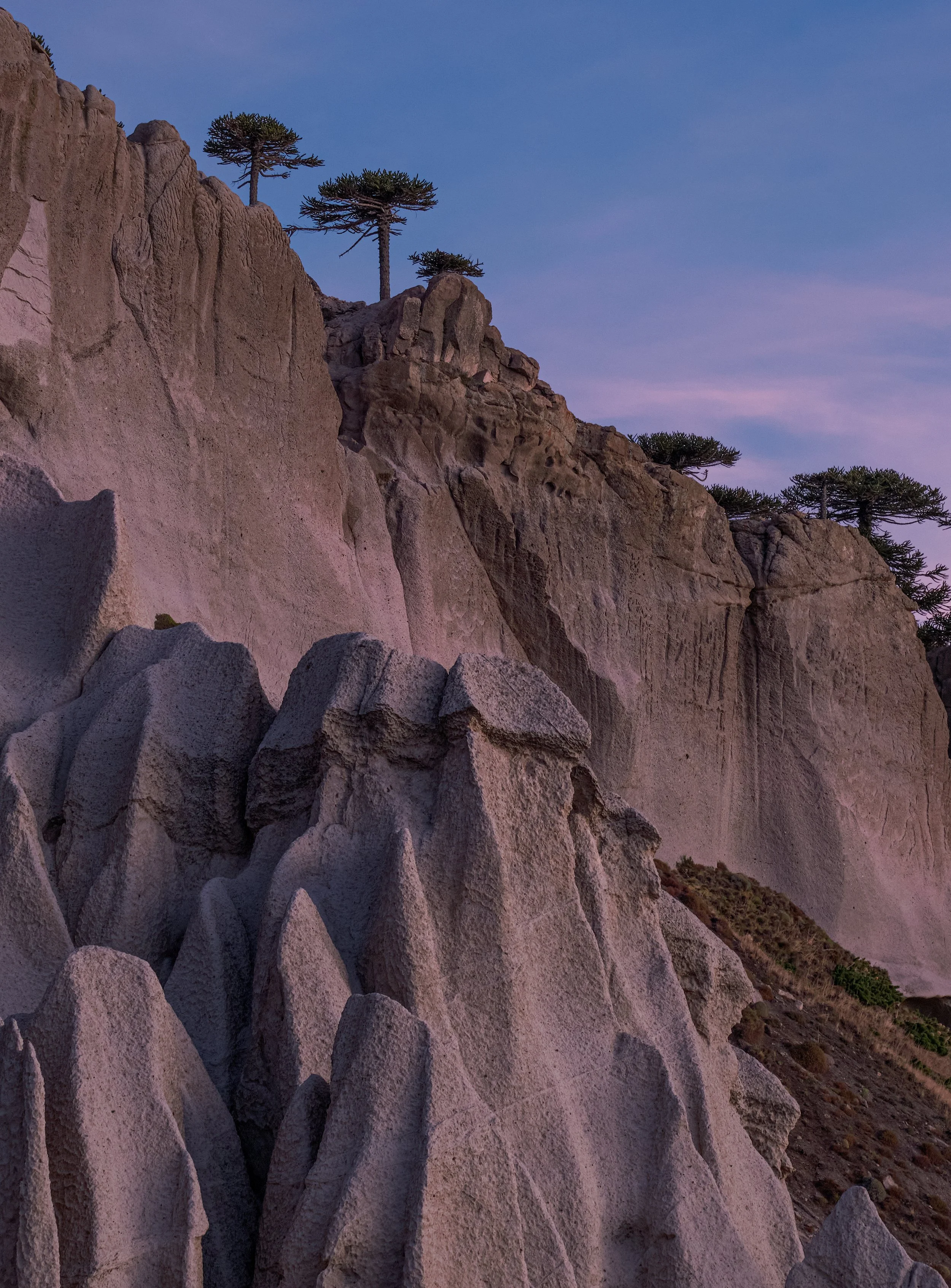 Pehuenco - Lonquimay