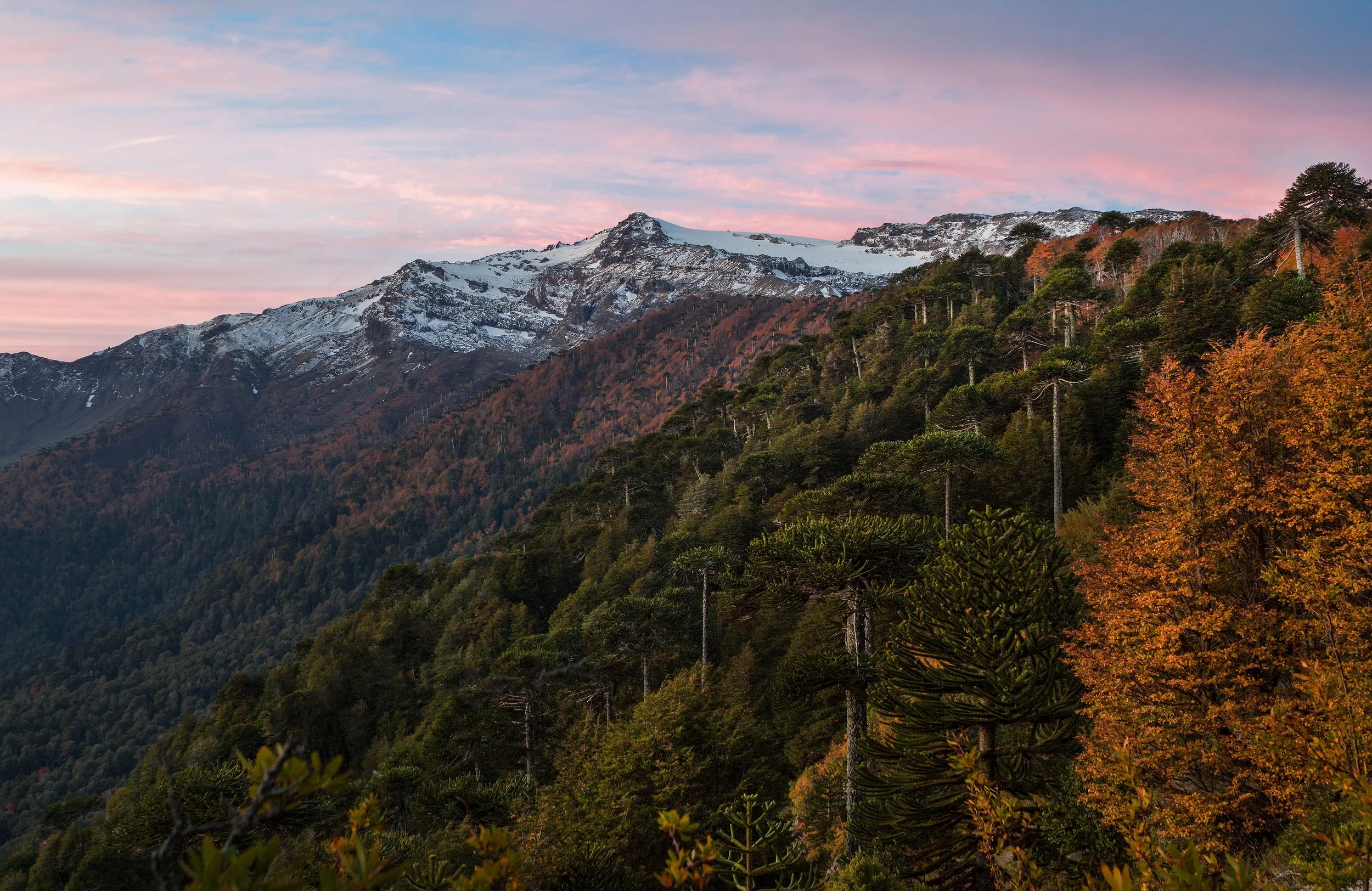 Mirador Sierra Nevada