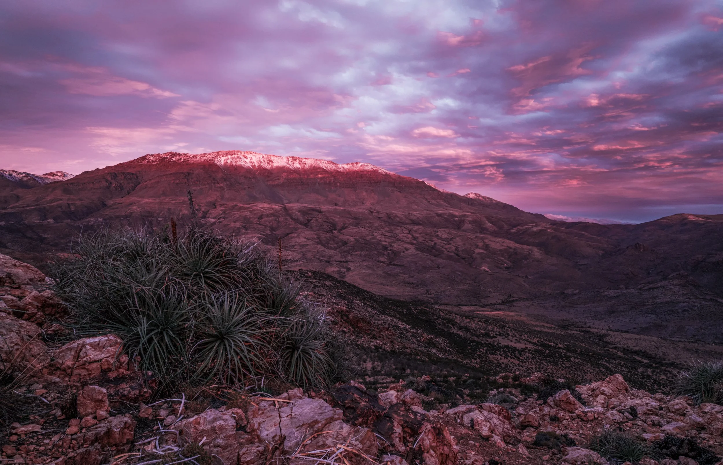 The Purple Zone in the Illapel mountains, Chile.