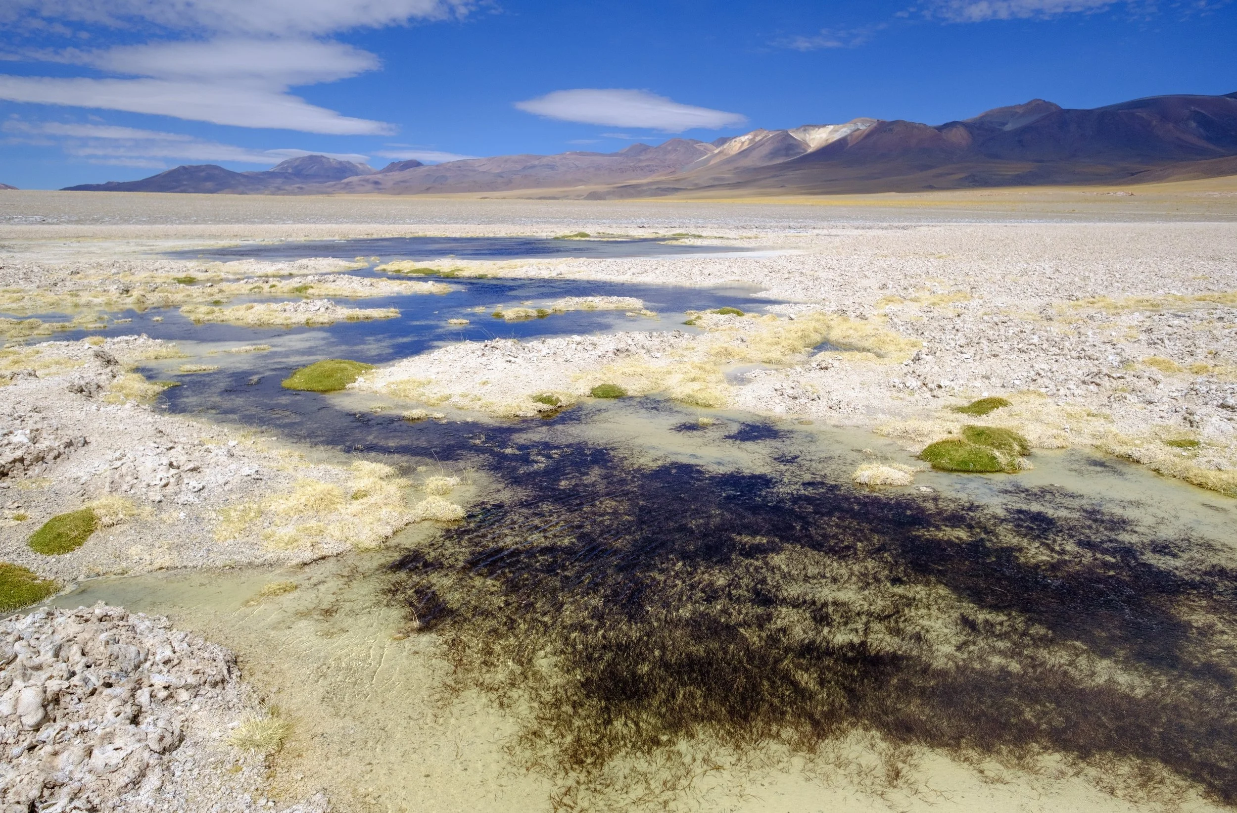Salar de Aguas Calientes