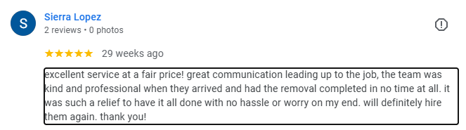 Screenshot of Sierra Lopez's review praising excellent service, good communication, professionalism, and reliability with removal work.
