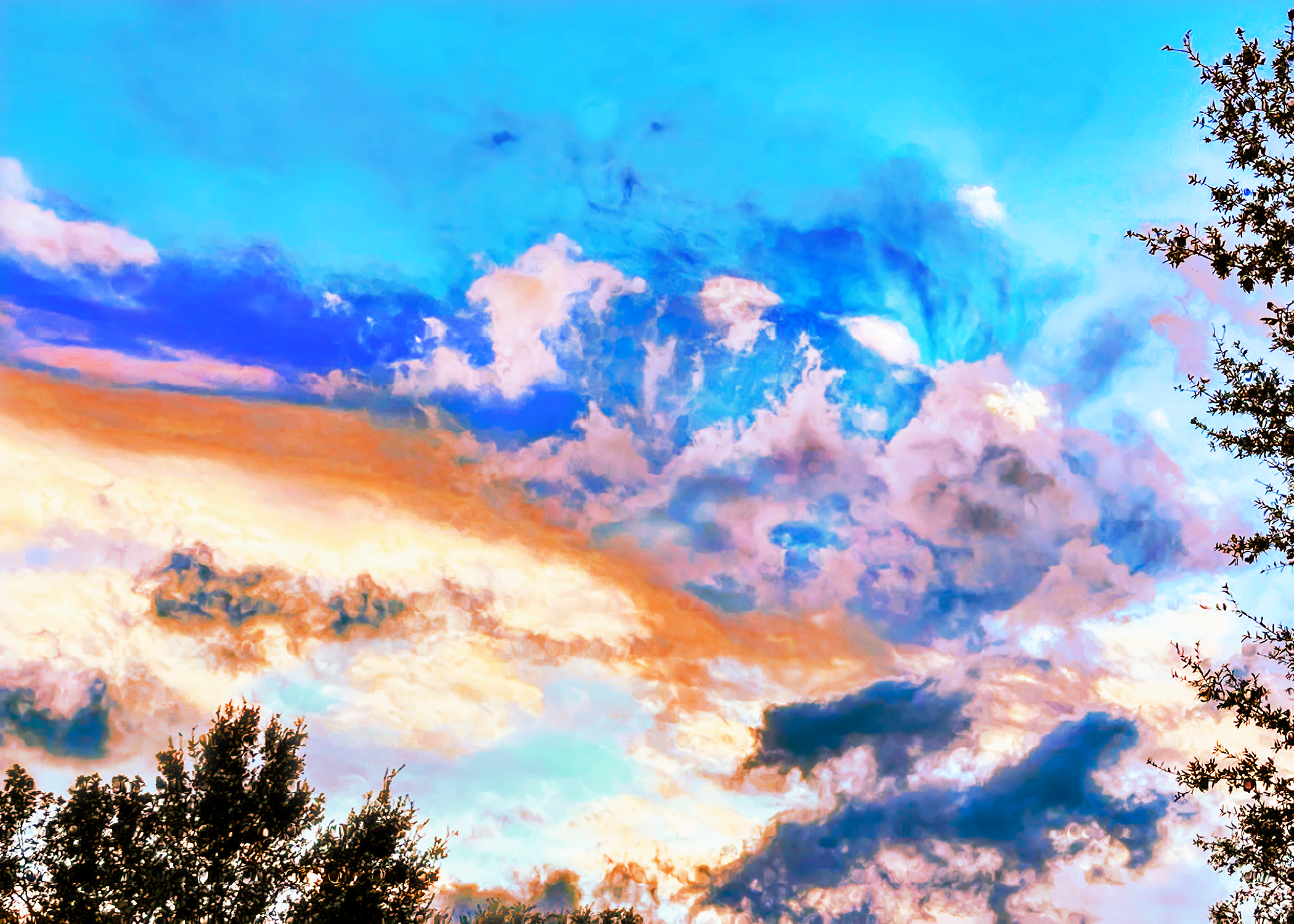 Sky Vibrant 7X5 #IMG3651.png