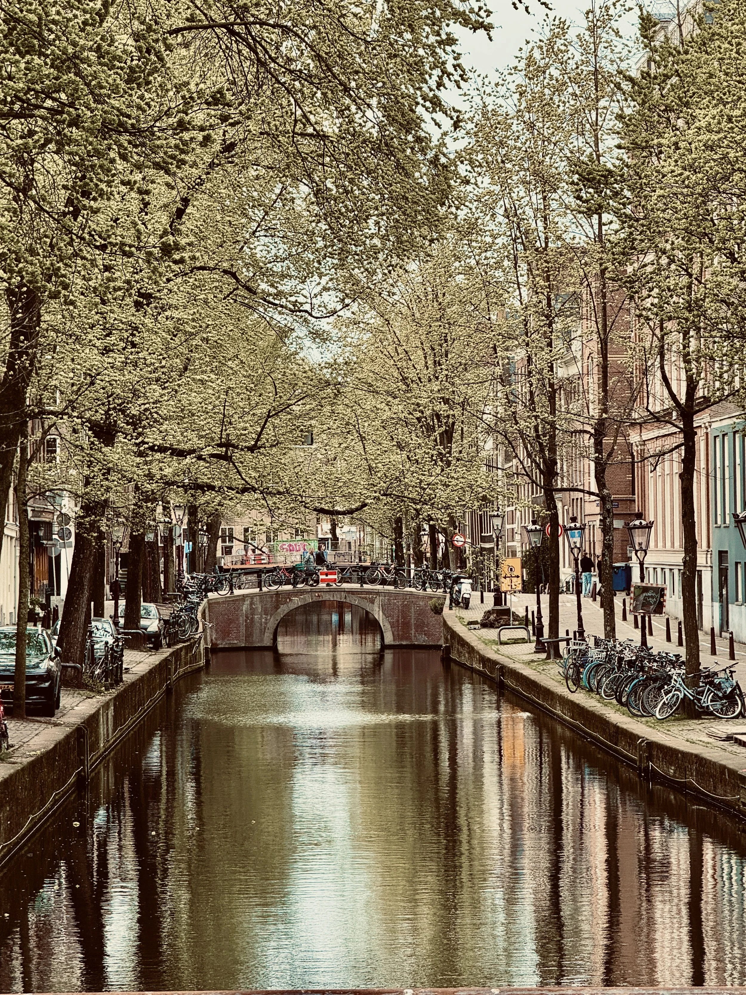 48 Hours in Amsterdam: Canals, Tulips, Windmills, &amp; Stroopwafels