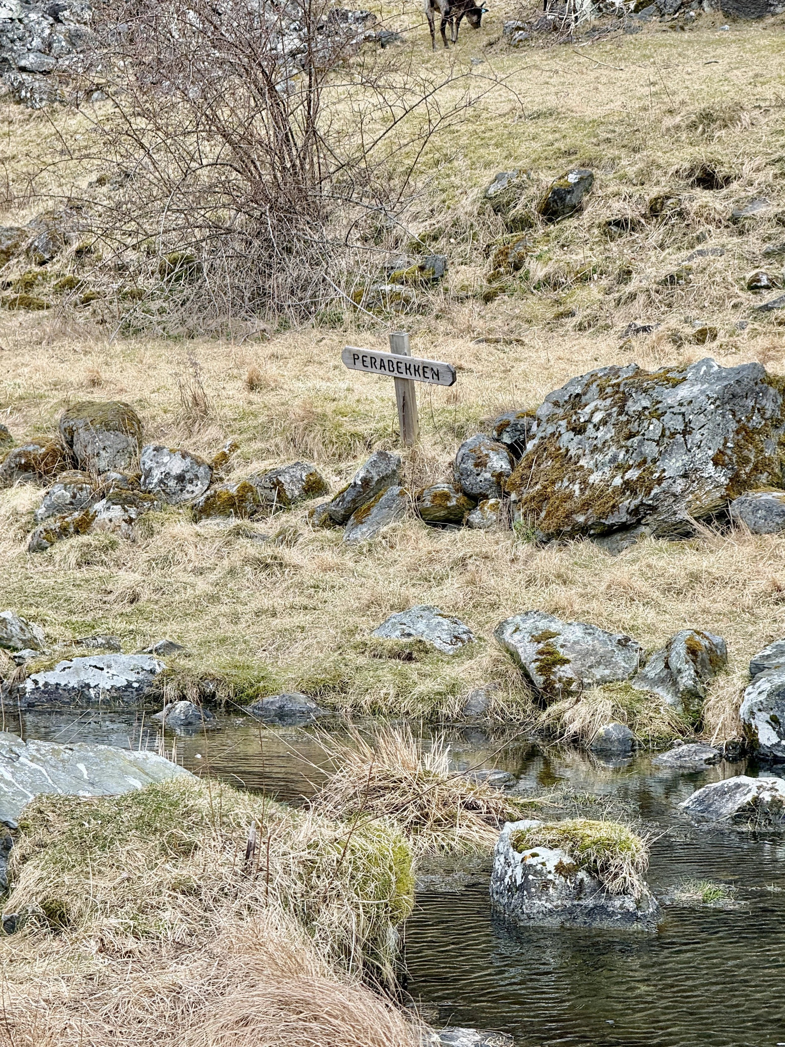 IMG_9574.JPG
