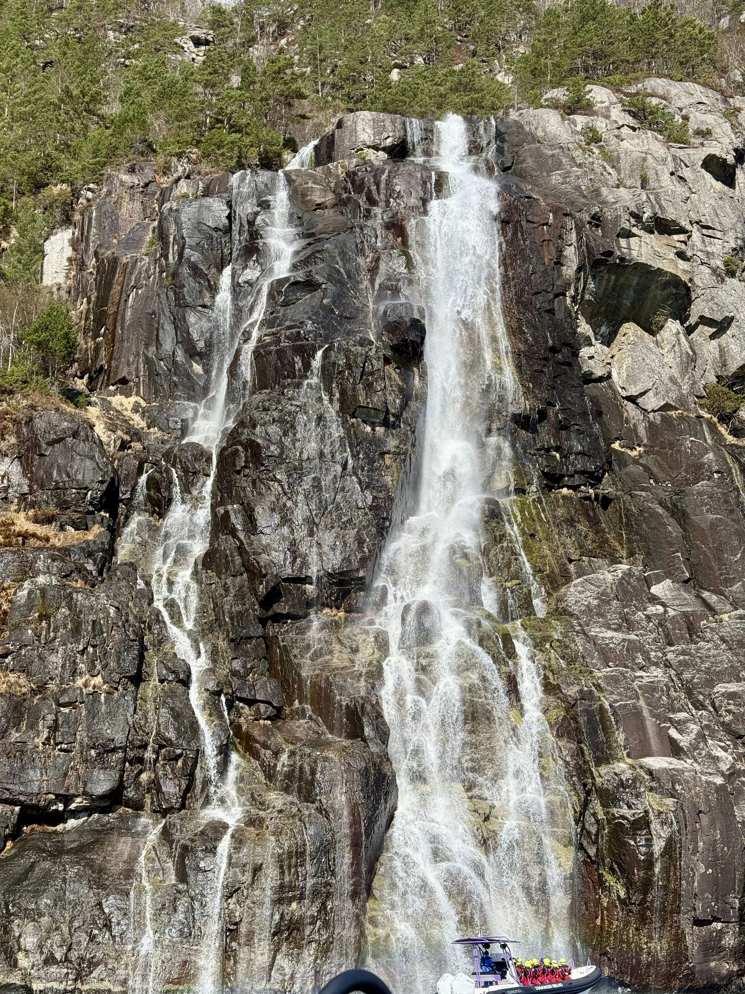 IMG_9660.jpg