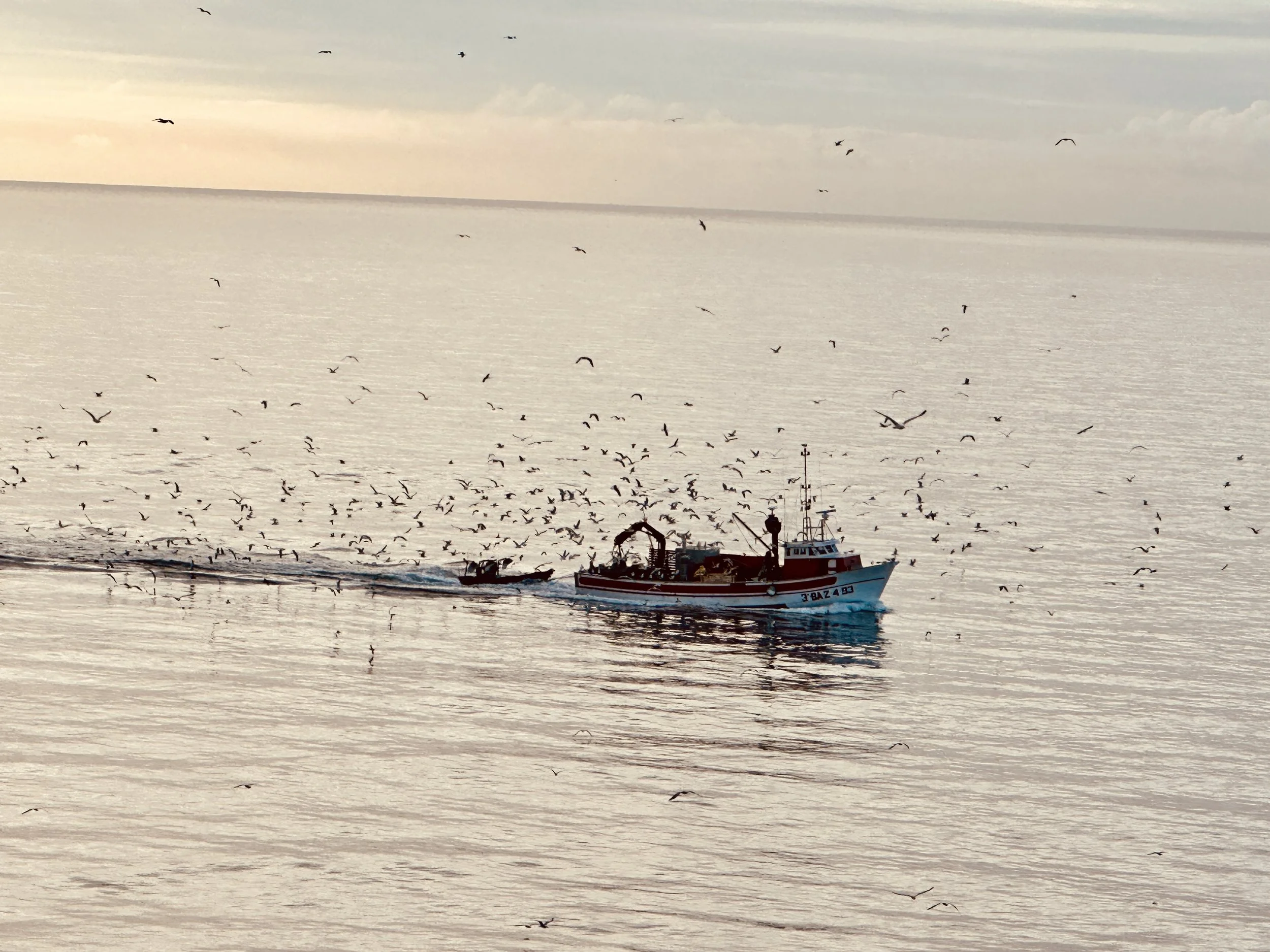 fishingboat-europe-harbor.jpg