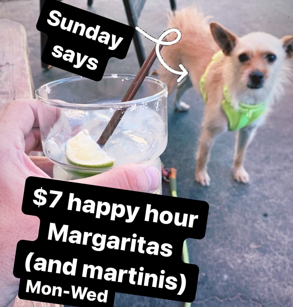 HAPPY HOUR!! 5 days a week. $7 margaritas and vodka or gin martinis! Plus a burger + pint of beer for $15!  Follow this cute dog to our sunny backyard and enjoy a cocktail with us!