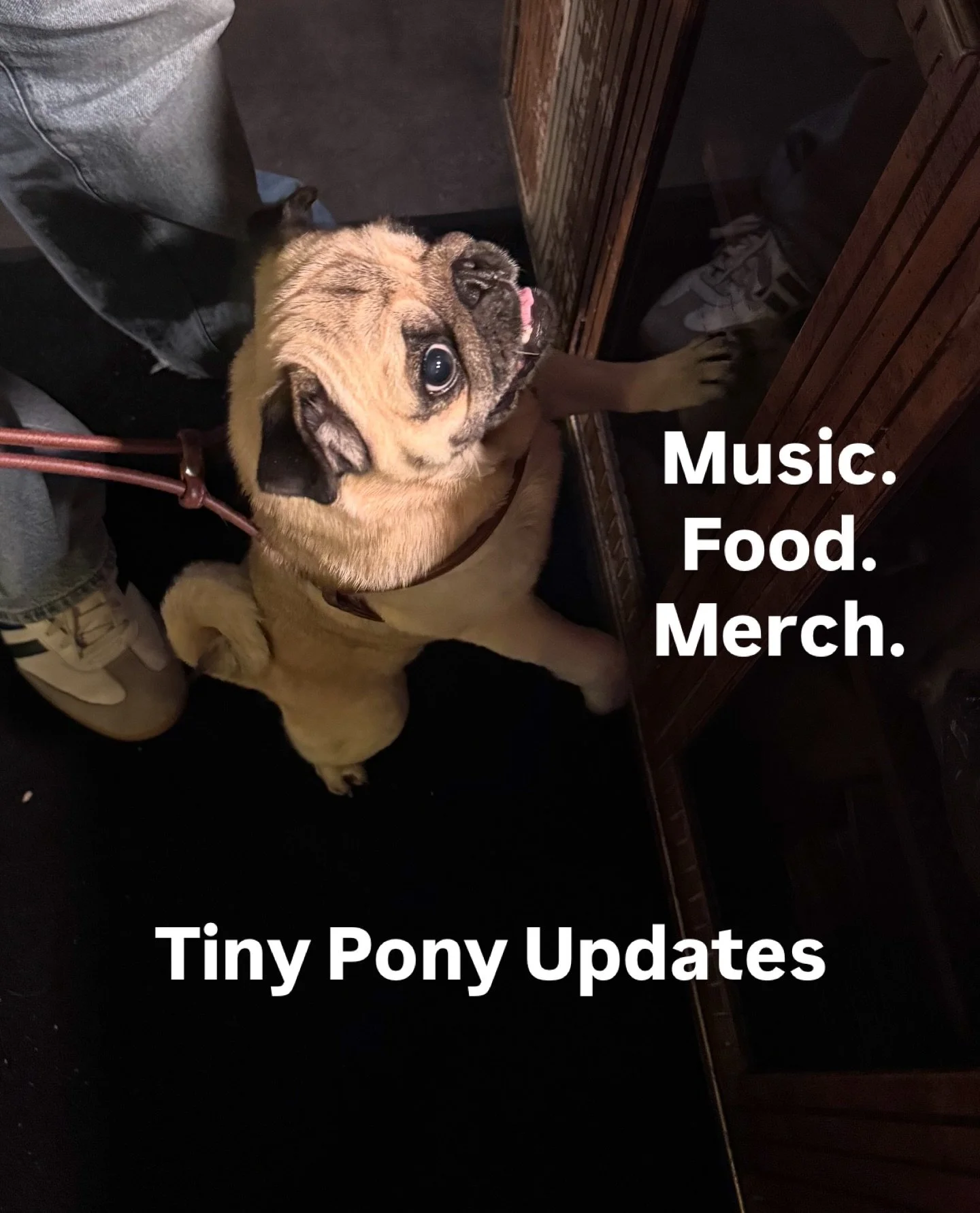 So much juicy news.
Prime Rib ends next Thursday so get it in while you can!
Handbag with softcuss &amp; Buck Mild starts at 10pm, along with $5 Calidad pints, $3 well shots, &amp; a 15% industry discount.
Plus salmon burgers, lavender blueberry pie,