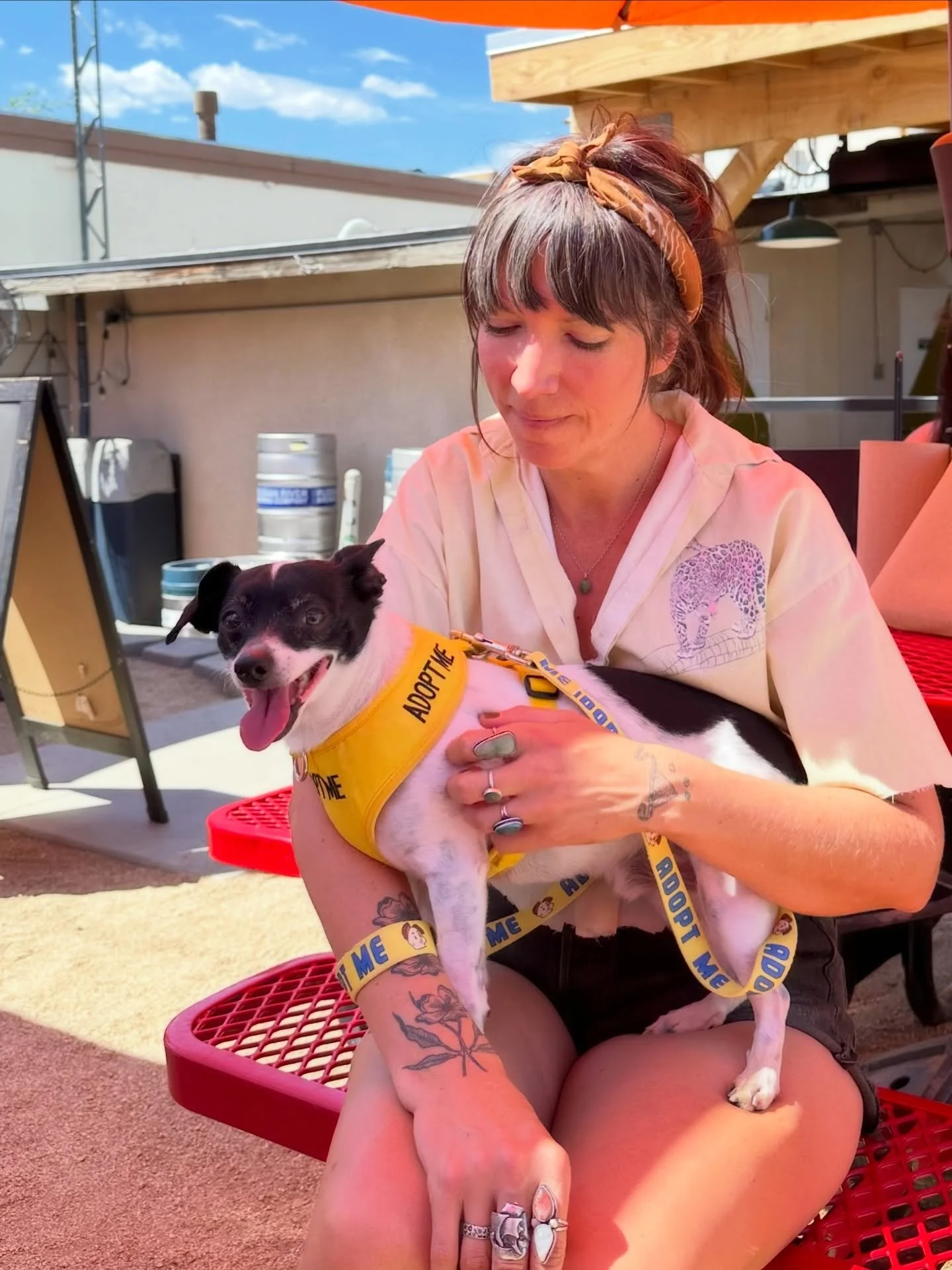 Astro and Gibbs are waiting for their furever homes!
Huge thank you to @morongobasinhumanesociety @hideserttails @titosvodka &amp; @calidad for the Puppy Brunch collab yesterday! More adoptable dogs, treats, toys and fundraiser drinks will be in the 